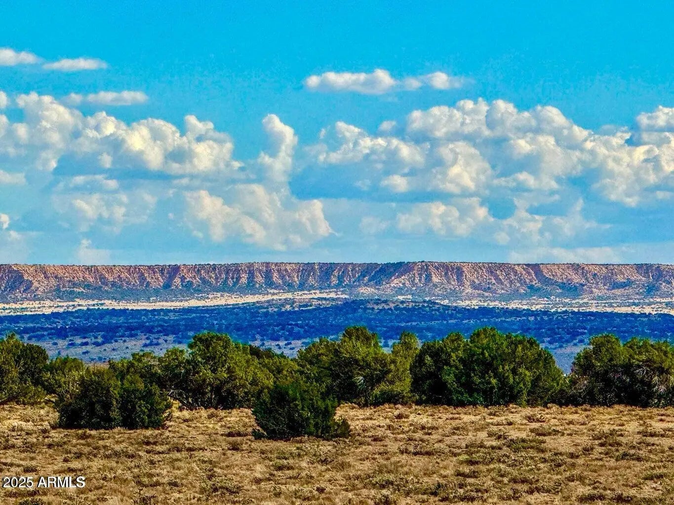 Photo of Listing #6906246