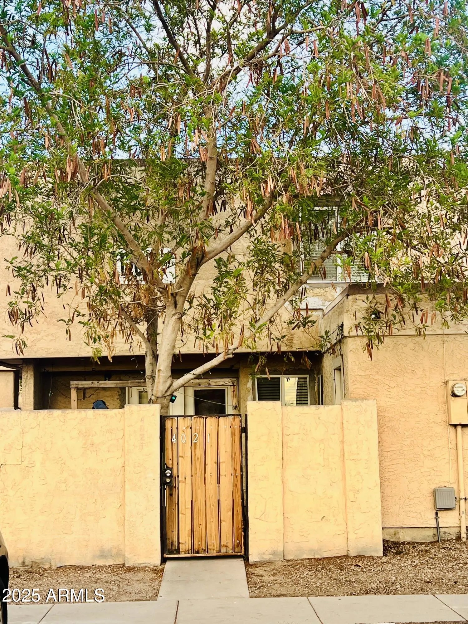 Photo of Listing #6907214