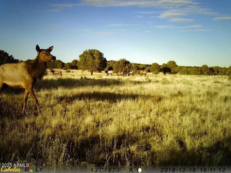 Photo of Listing #6907427