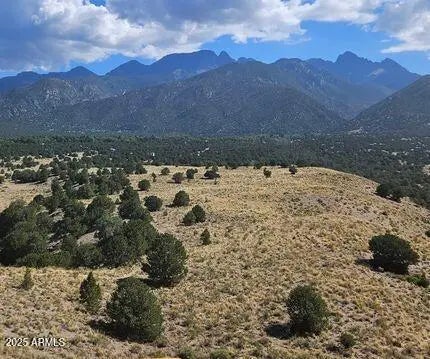 Photo of Listing #6908850