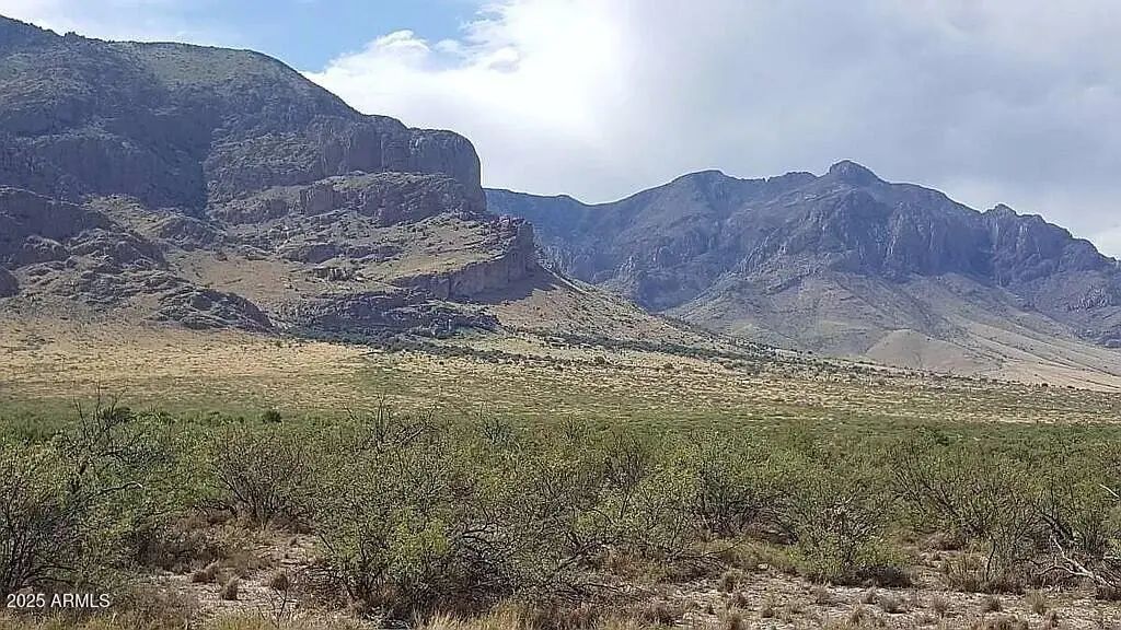 37 Acres Blacktail Road (unit -), San Simon