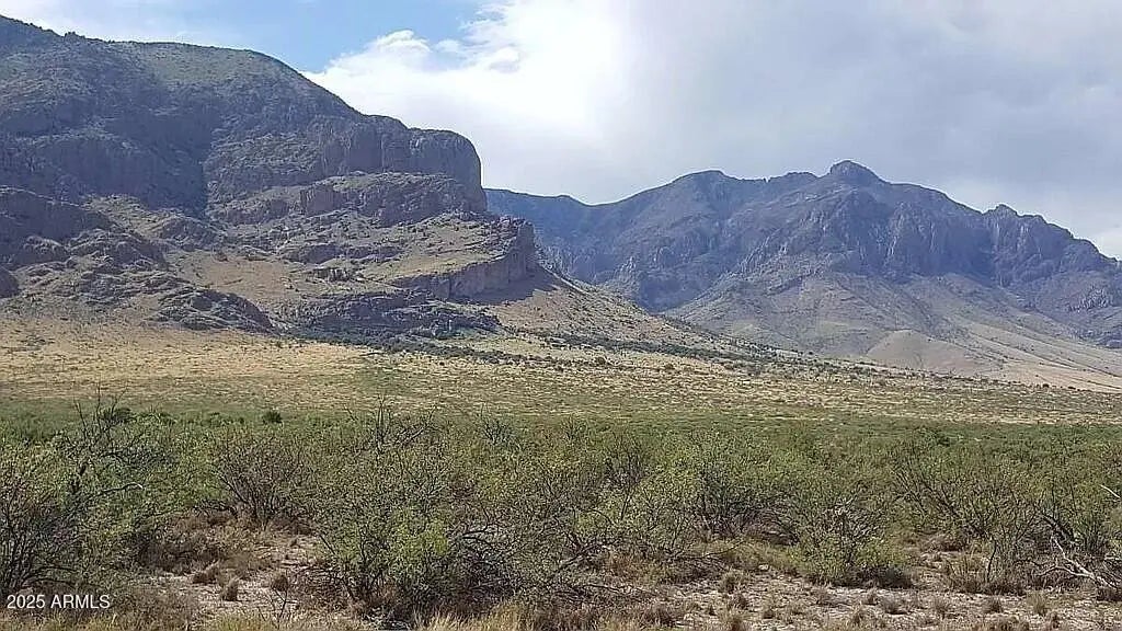 Photo of Listing #6908469