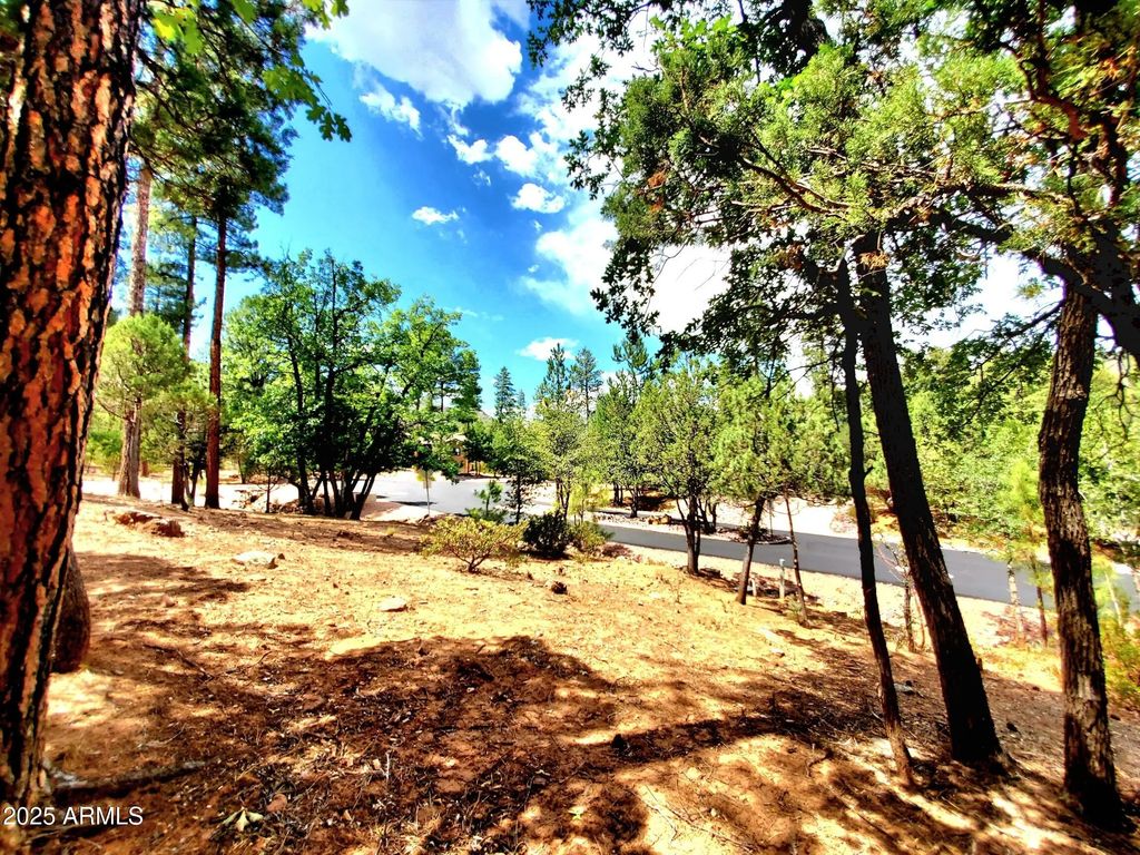 Lot 19 Strawberry Hollow -- (unit 19), Pine