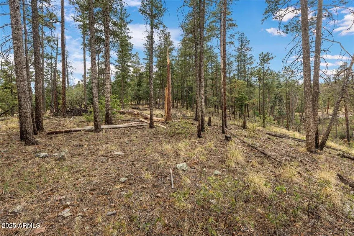 Photo of Listing #6909978