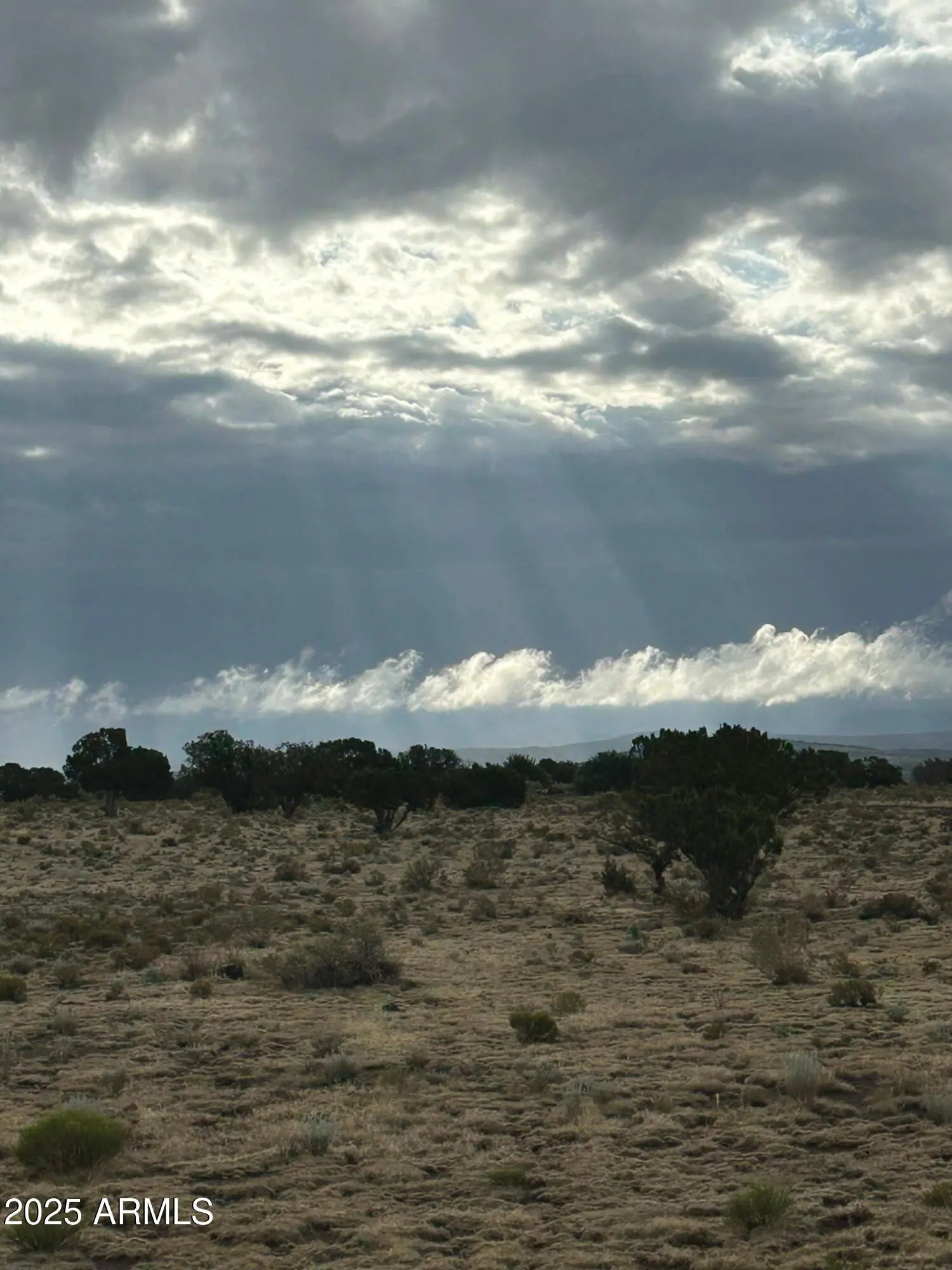 Photo of Listing #6910465