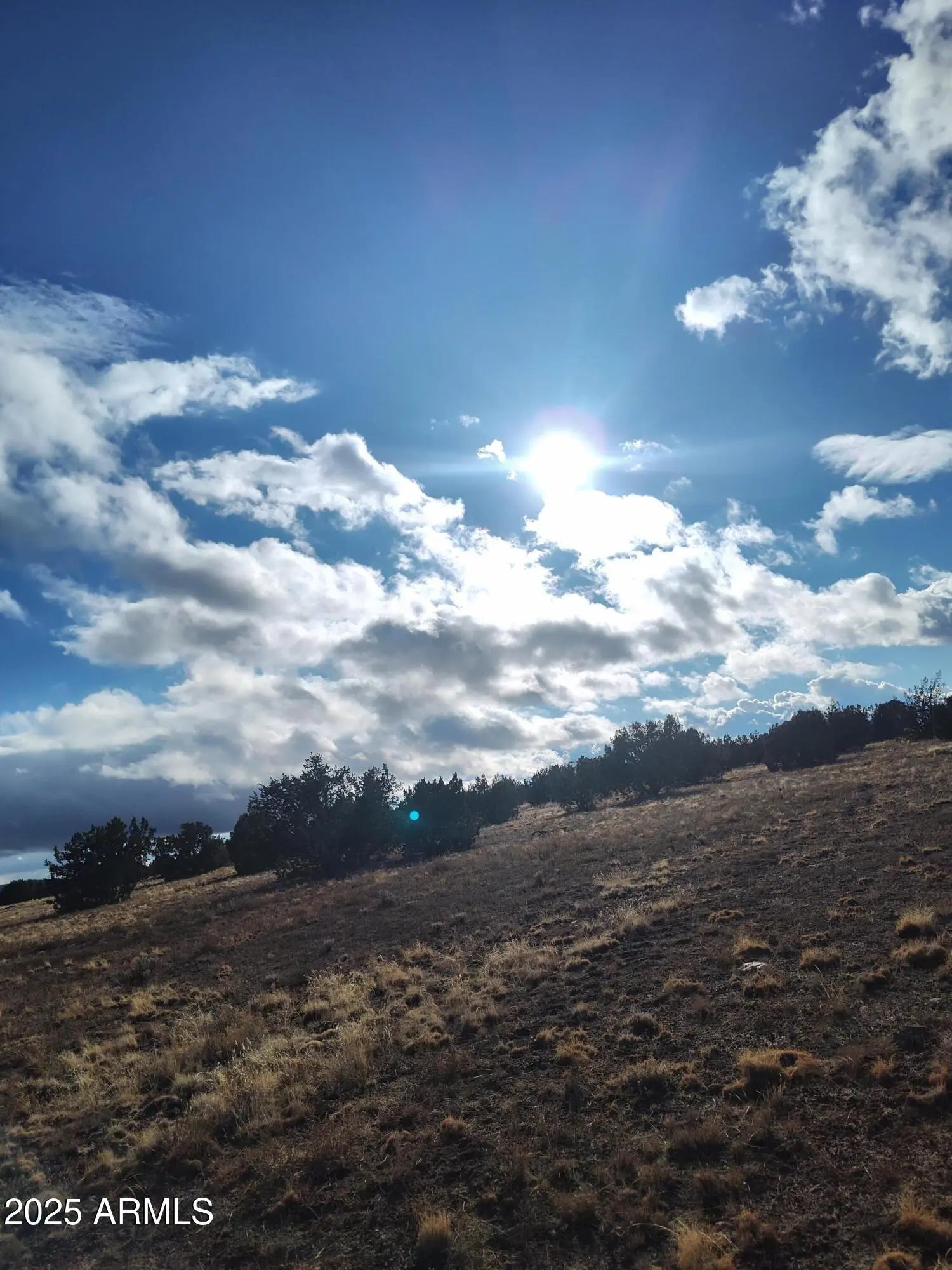 Photo of Listing #6910448