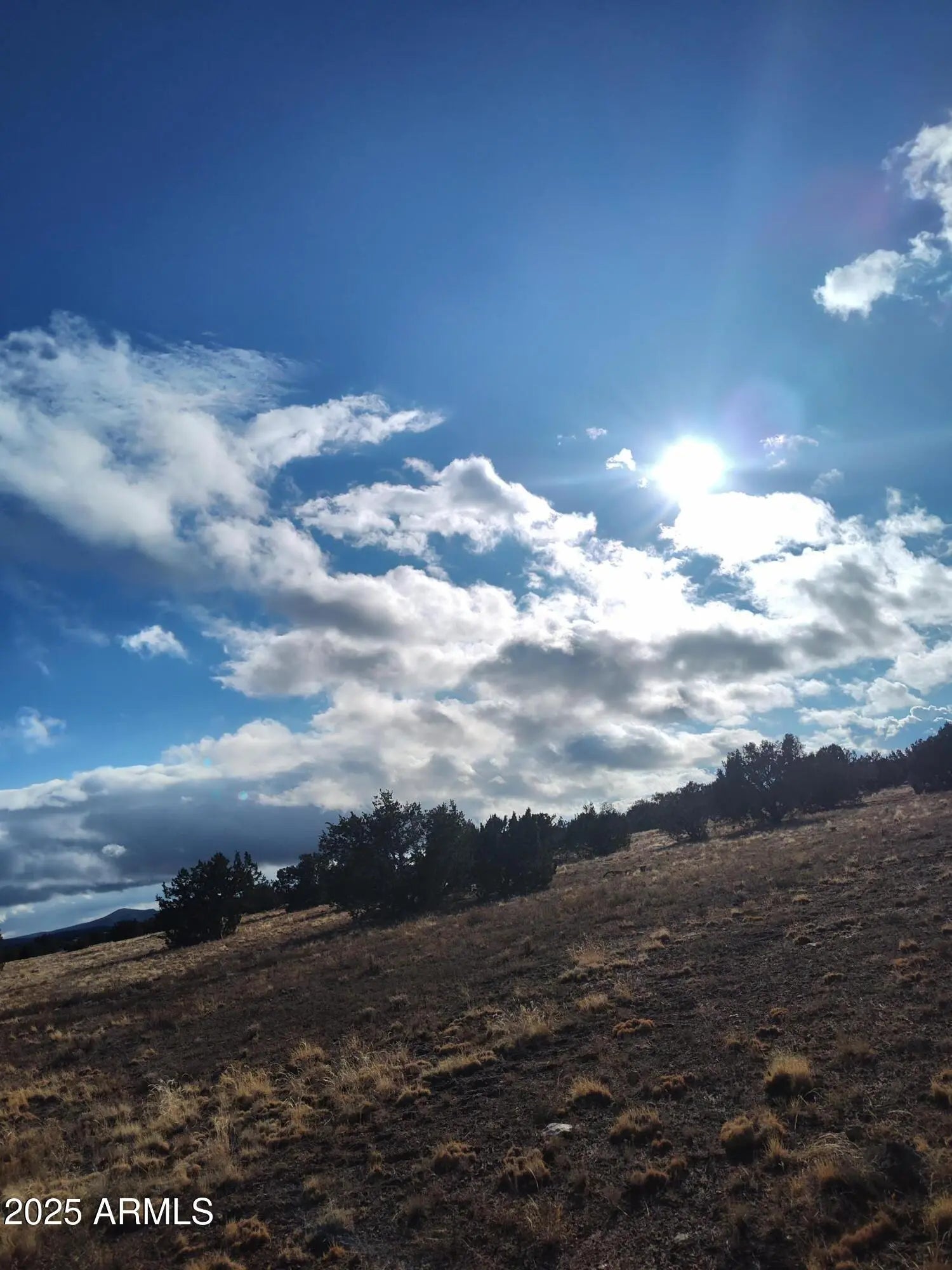 Photo of Listing #6910481