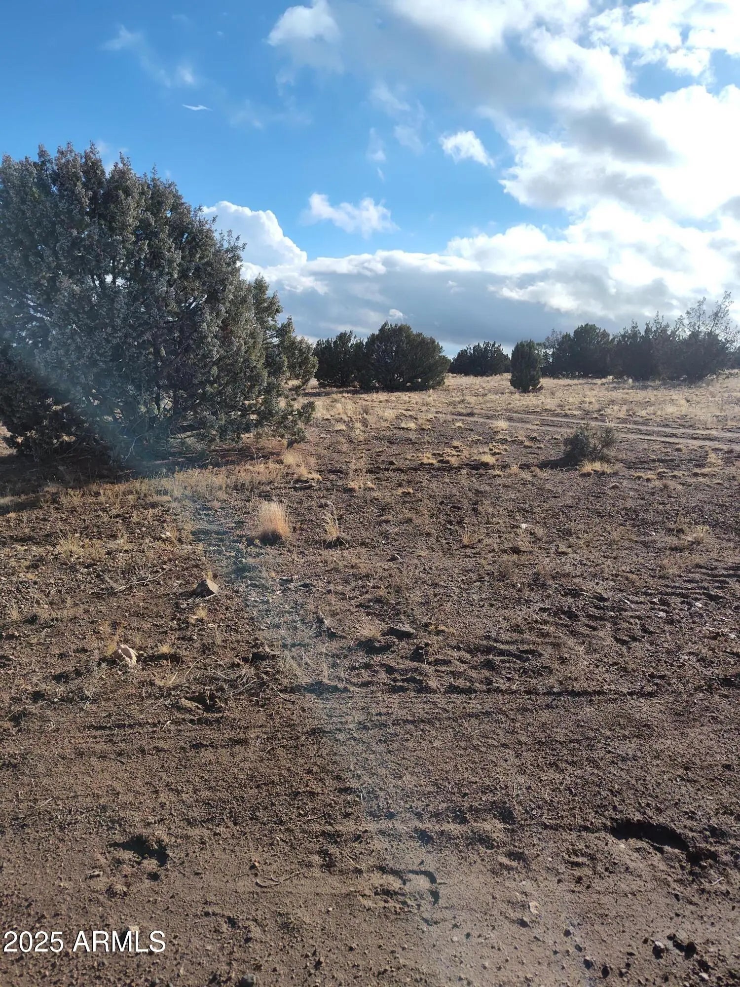 Photo of Listing #6910636