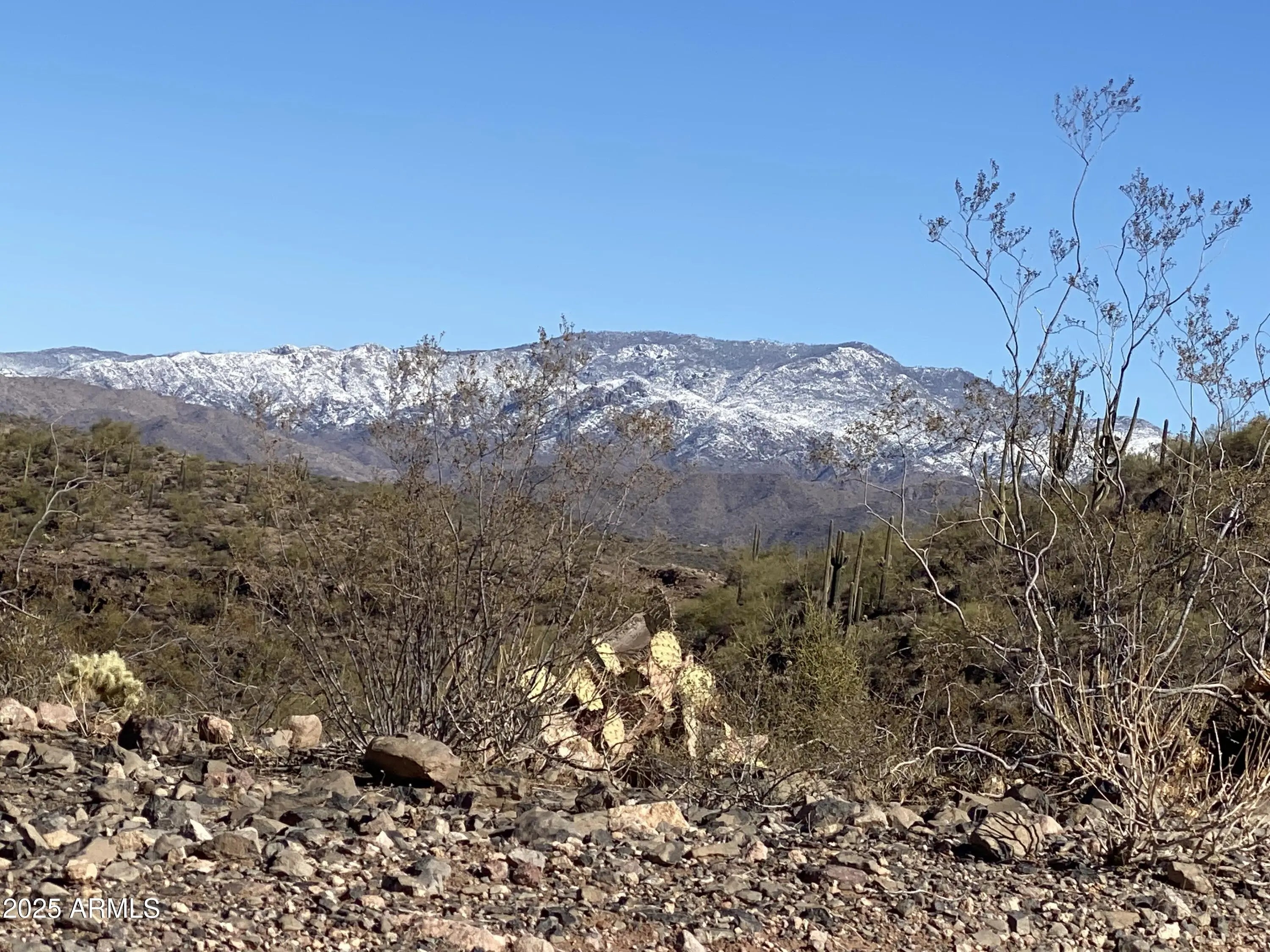 Photo of Listing #6918733