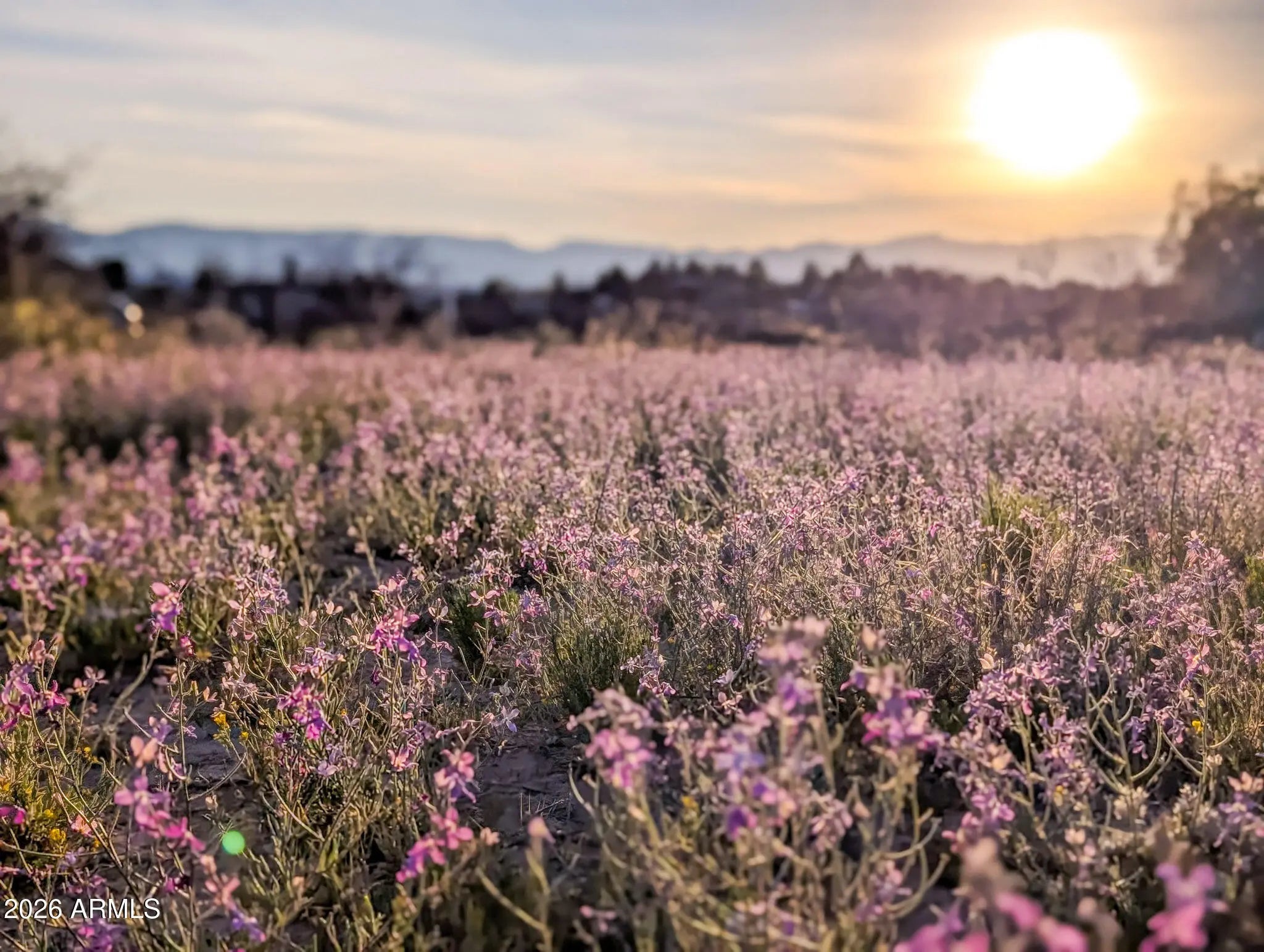 Photo of Listing #6911430