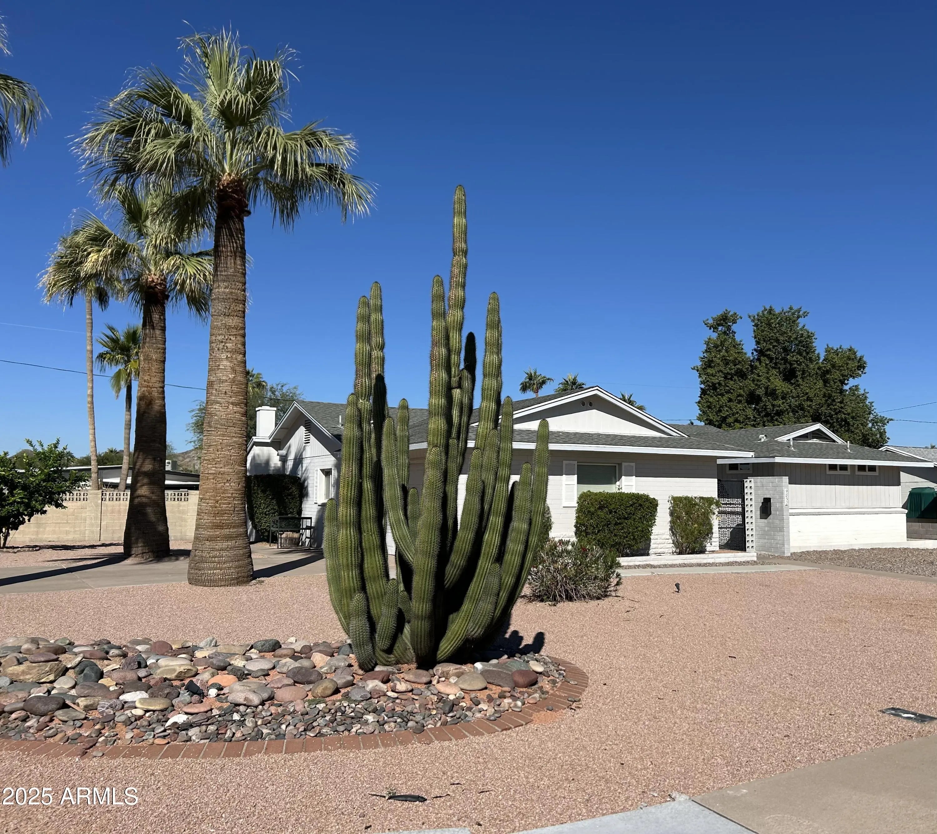 Photo of Listing #6911317