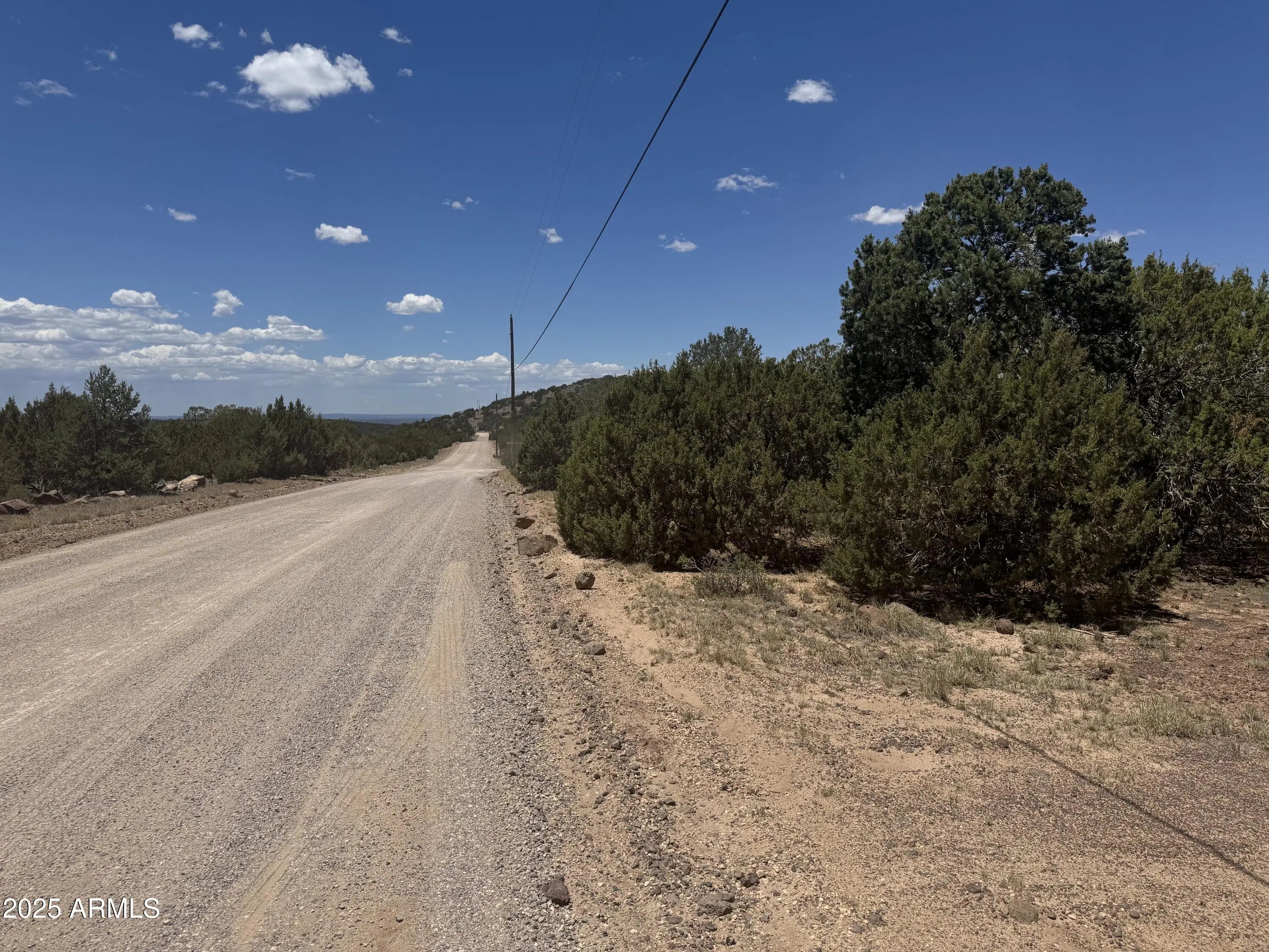 Photo of Listing #6911413