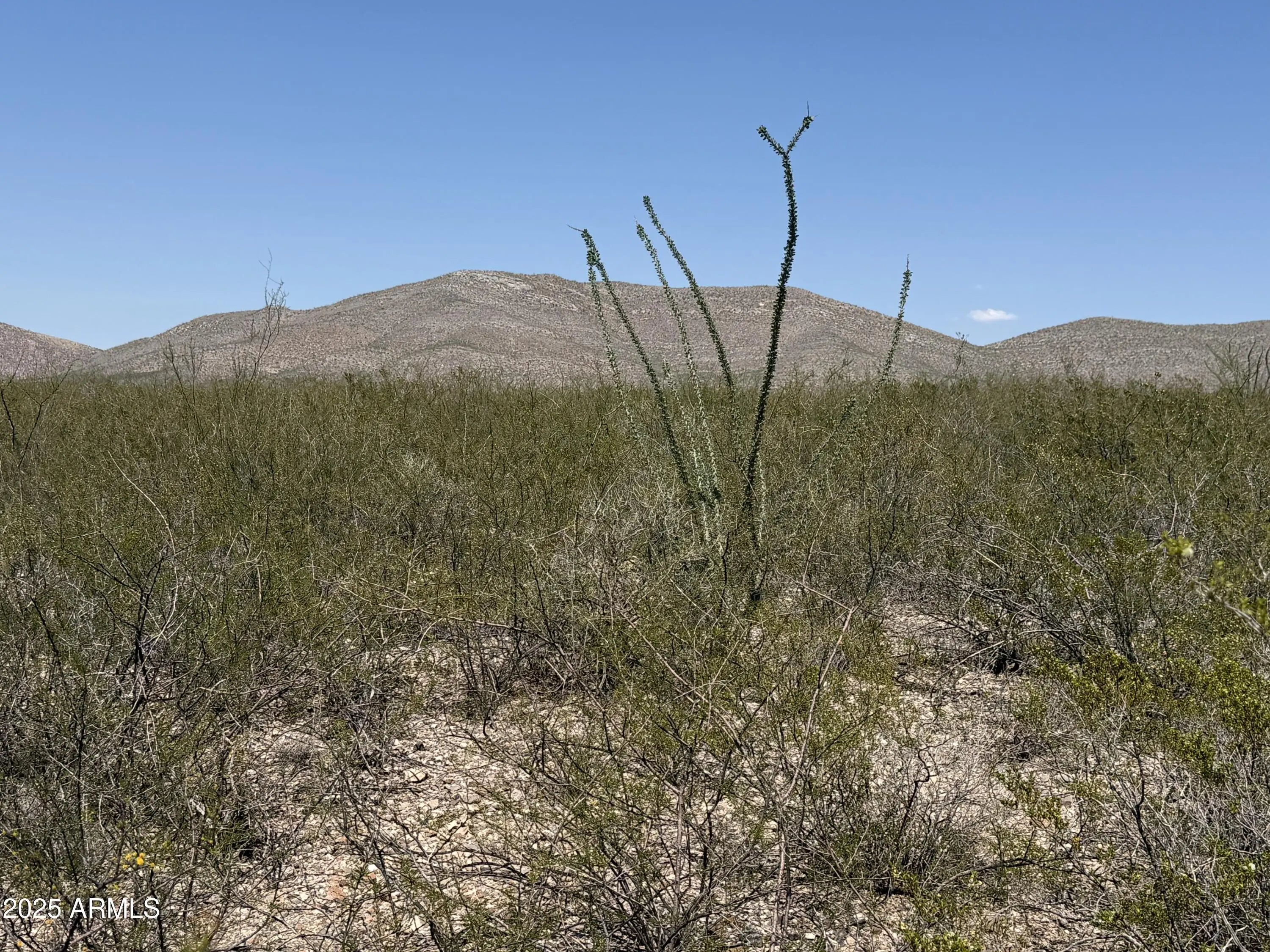 Photo of Listing #6911832