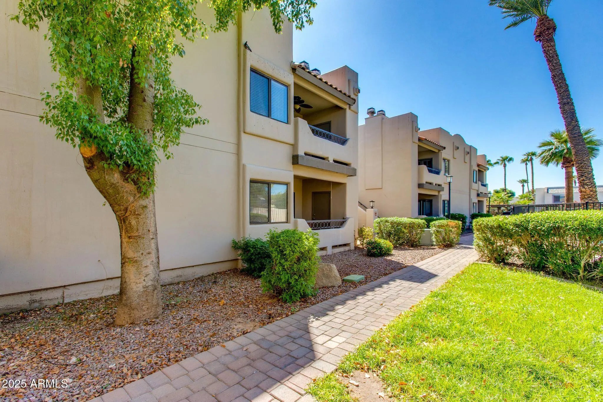 Photo of Listing #6915047