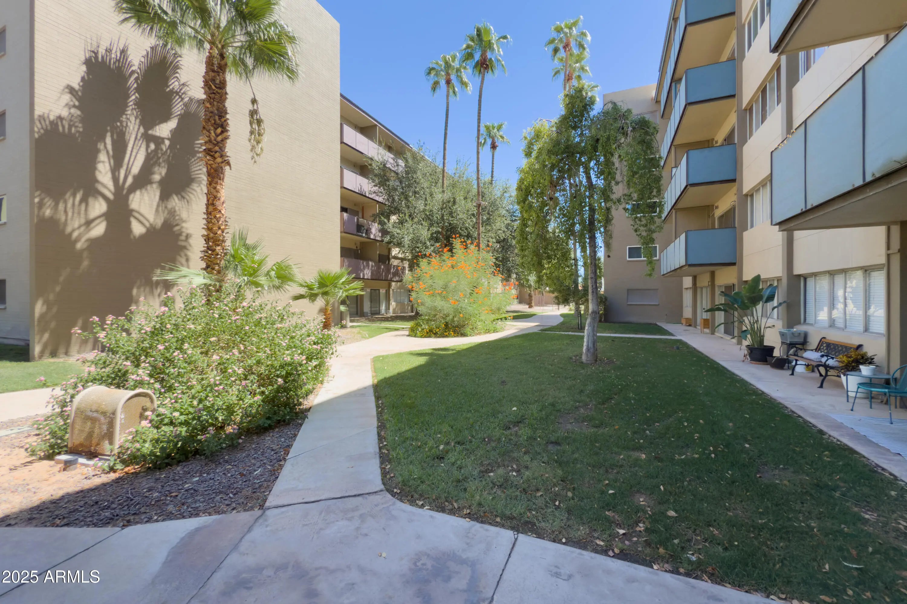 Photo of Listing #6915591