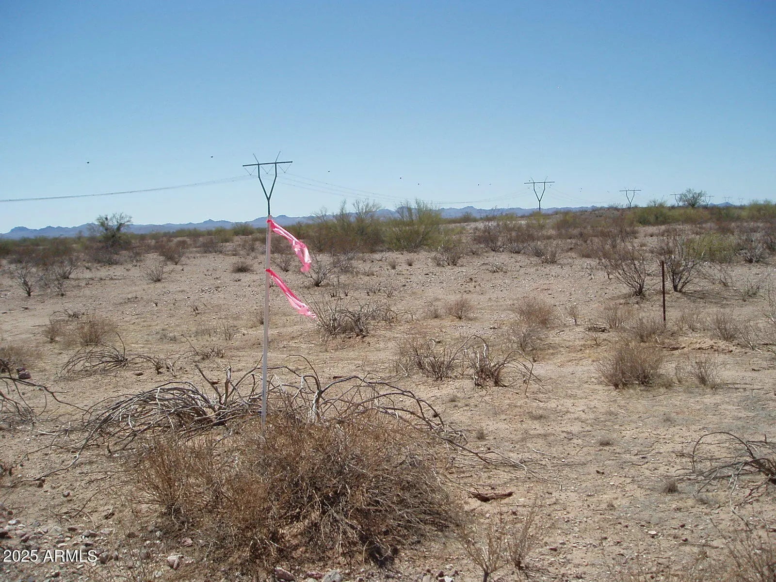 Photo of Listing #6913731