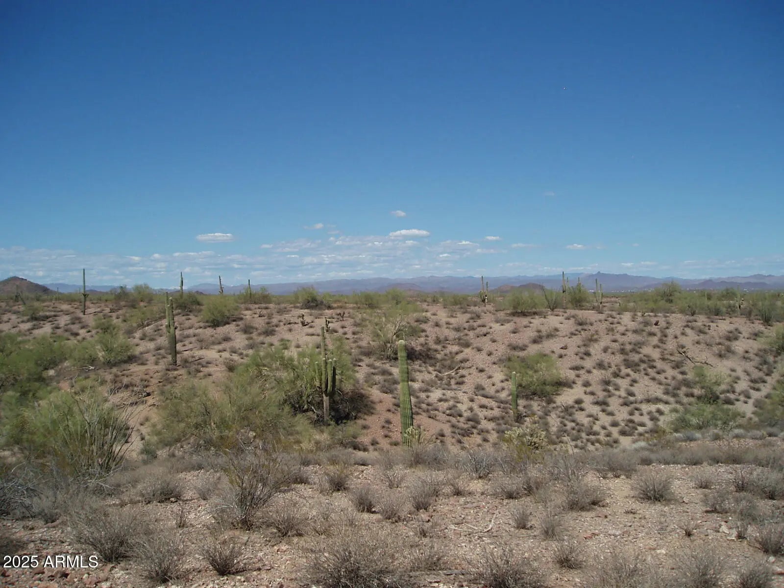 Photo of Listing #6913845