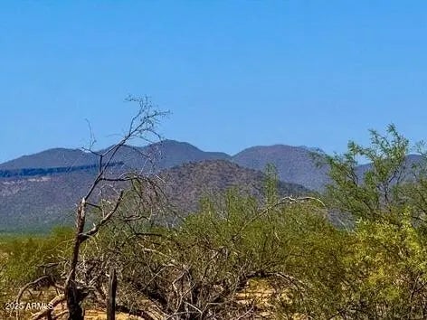 Photo of Listing #6913980