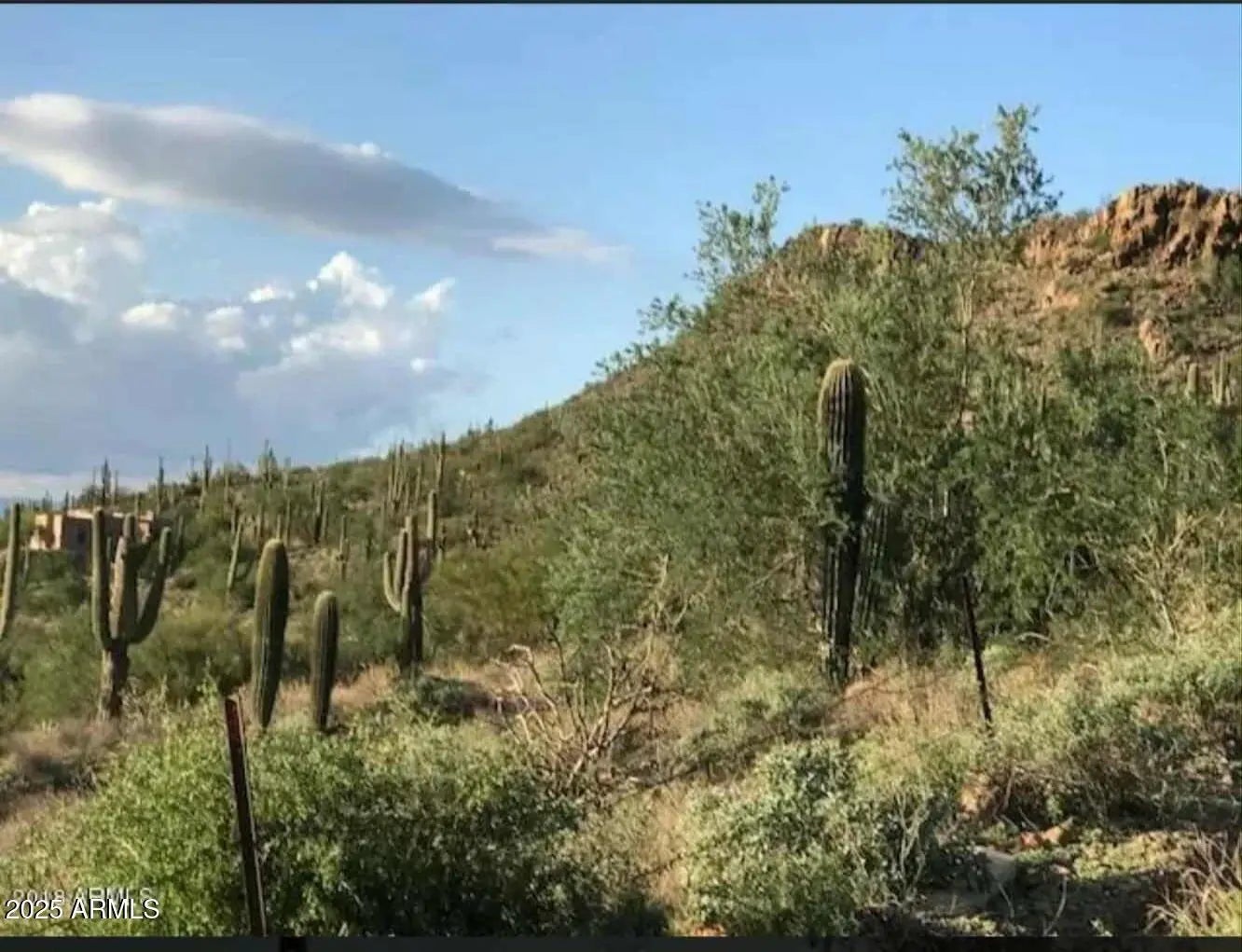 Photo of Listing #6914845