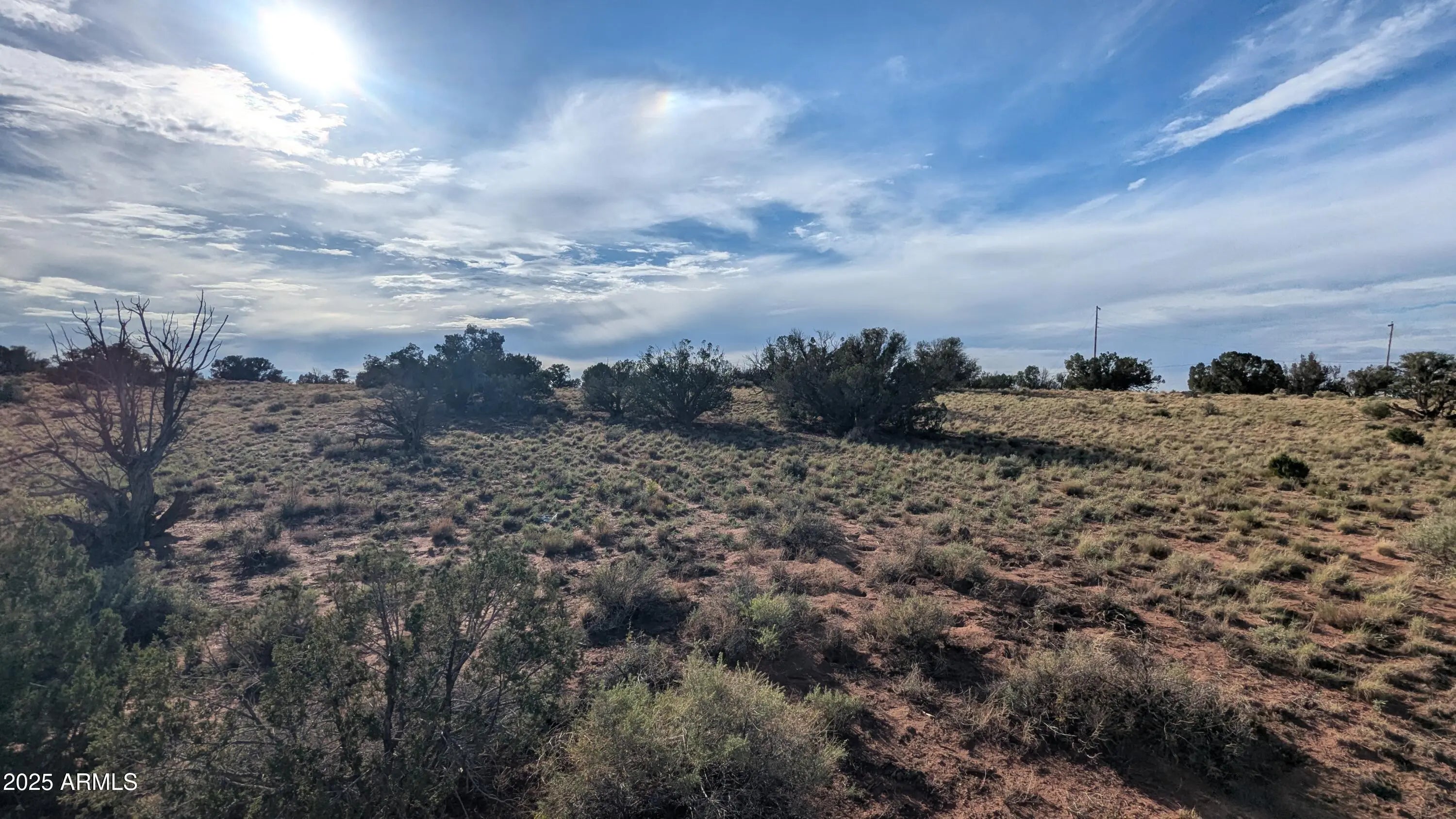 Photo of Listing #6917206