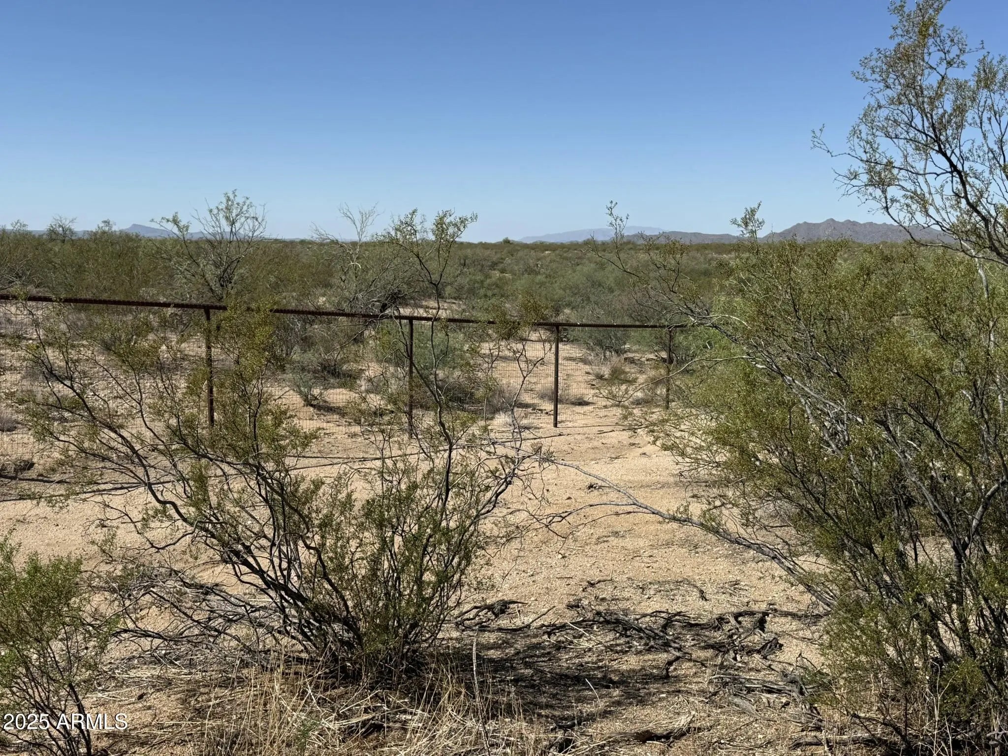 Photo of Listing #6917742