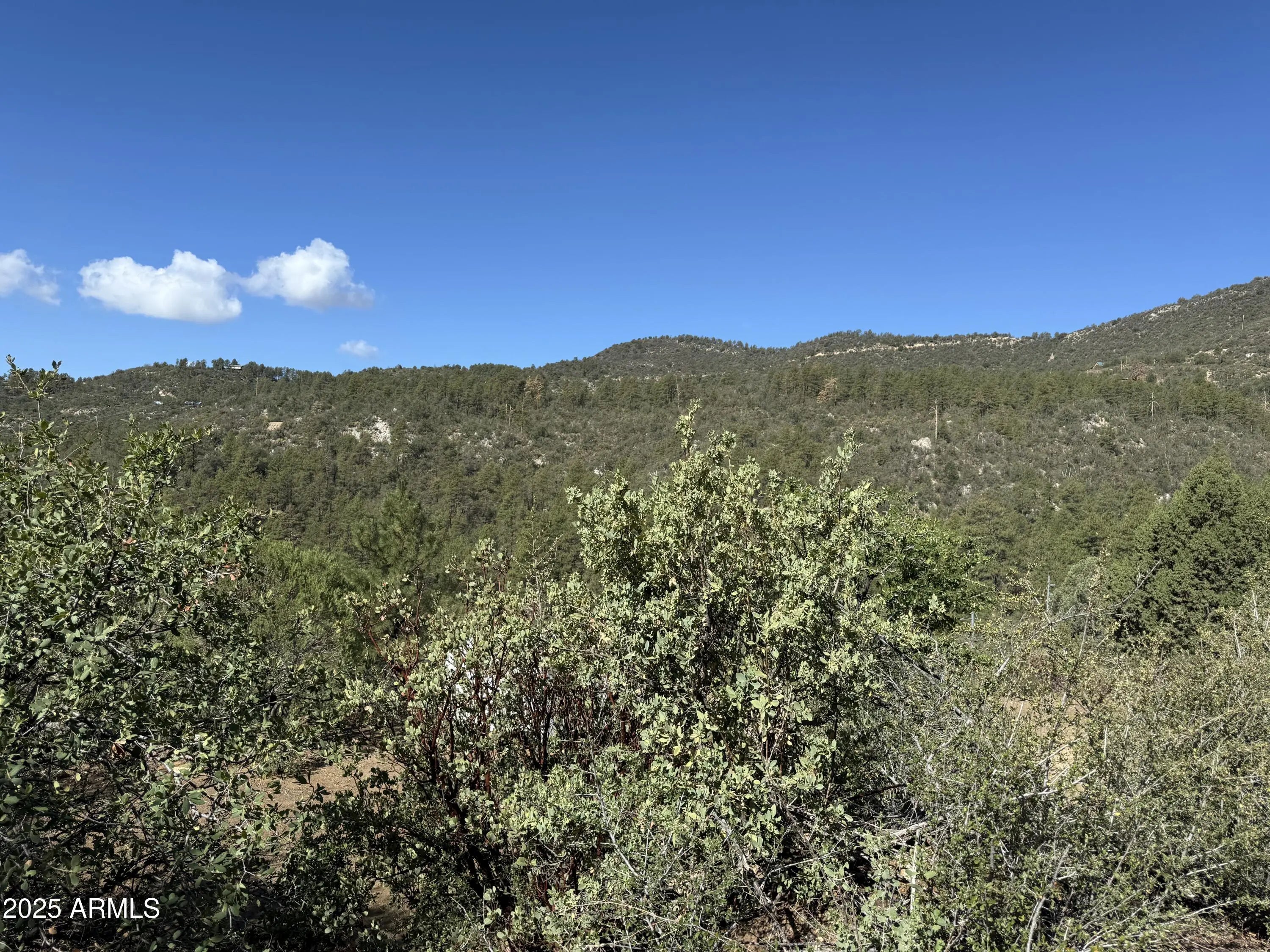 Photo of Listing #6918888