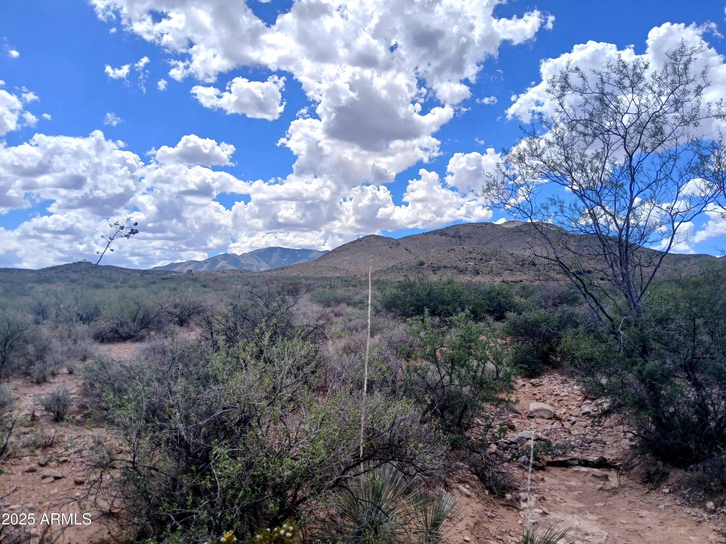 Photo of Listing #6918219