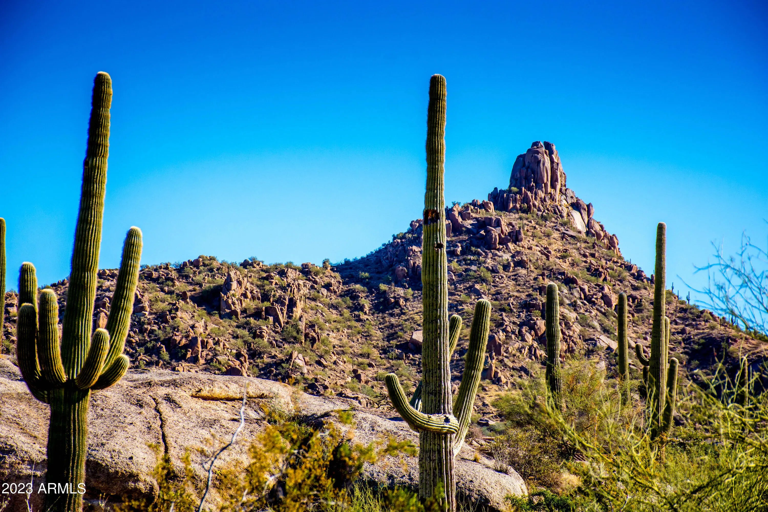 Photo of Listing #6919857