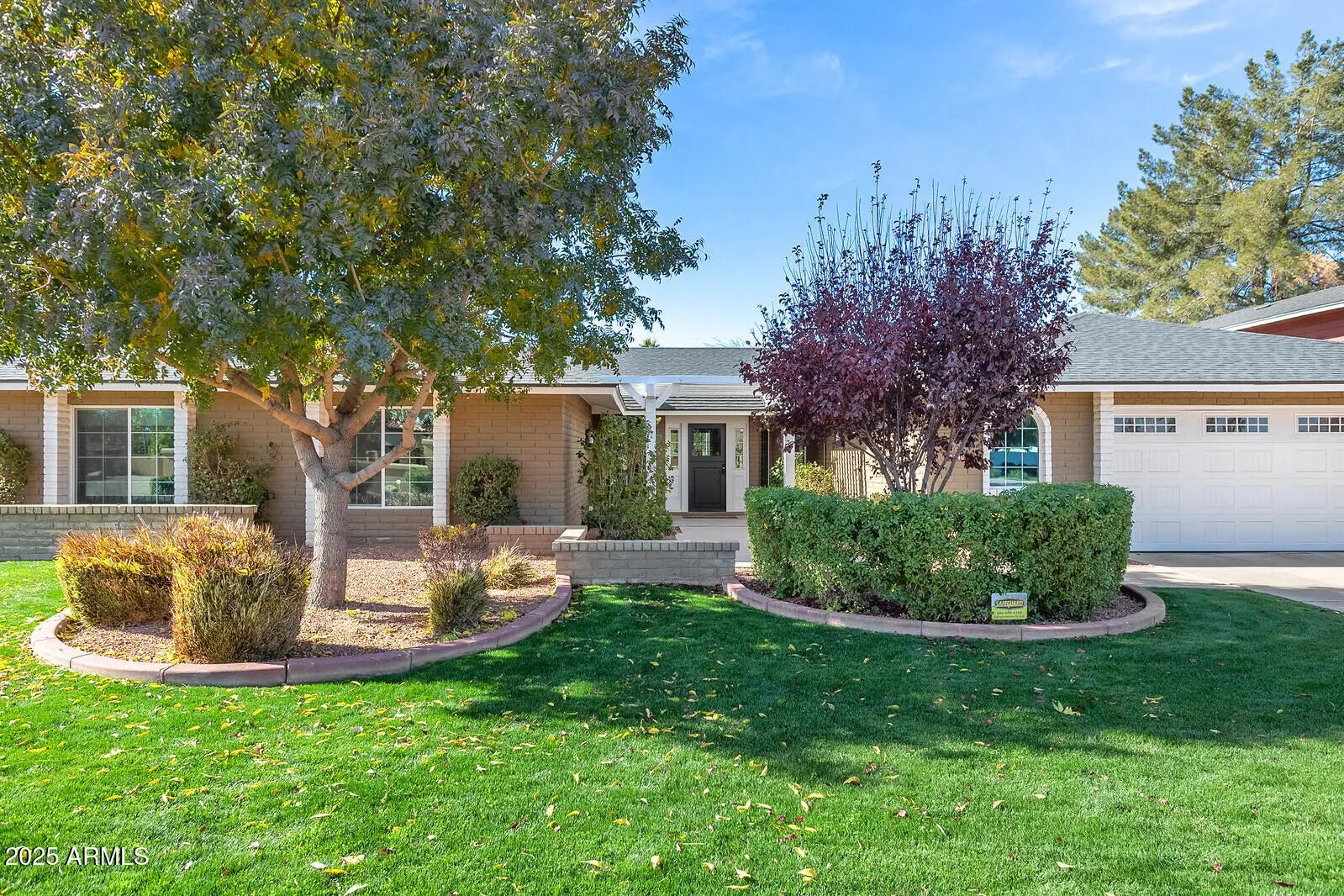 Photo of Listing #6919119