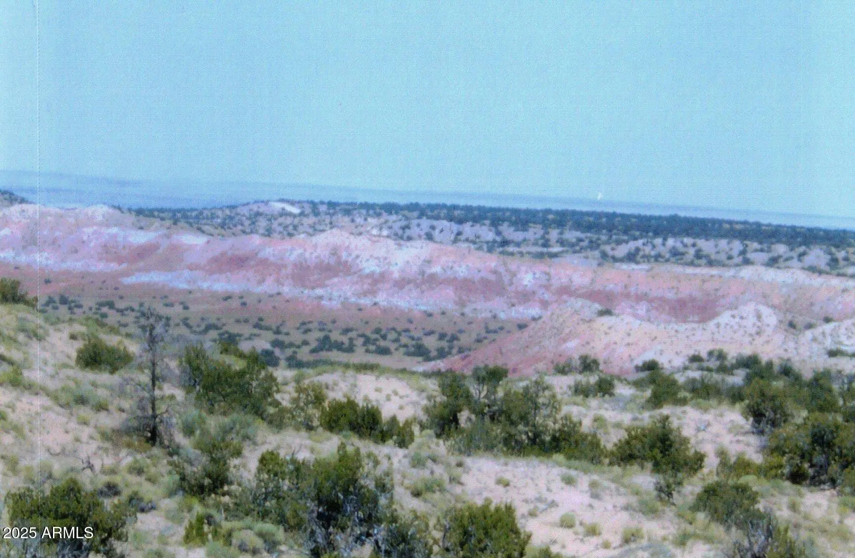 Photo of Listing #6919785