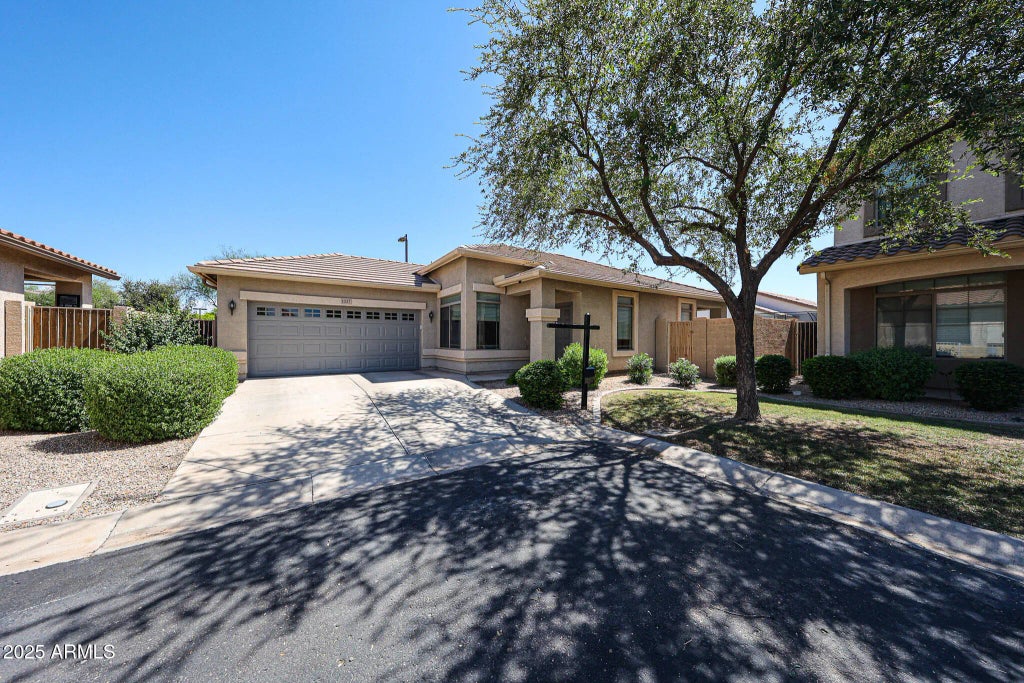 1337 E Thompson Way, Chandler