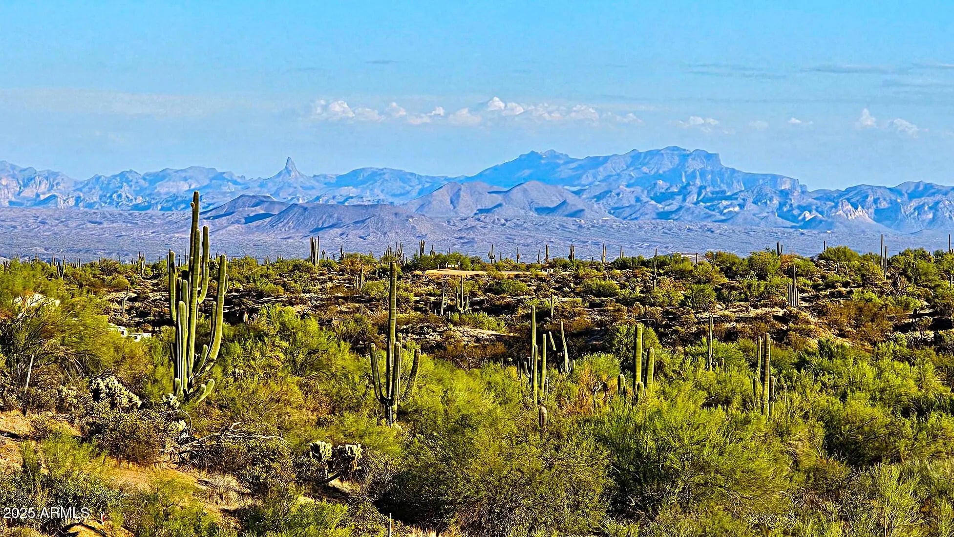 Photo of Listing #6920508