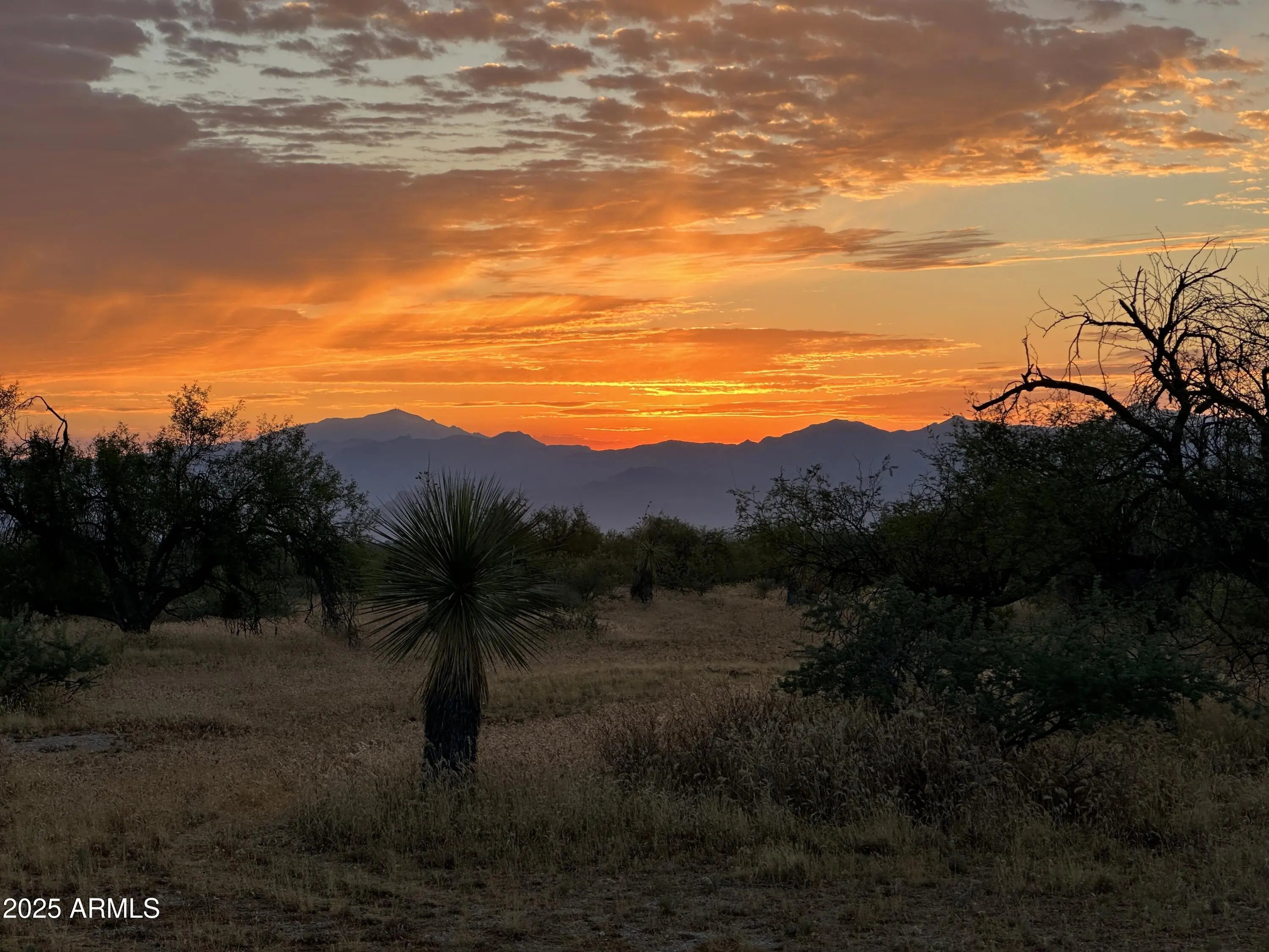 Photo of Listing #6920703