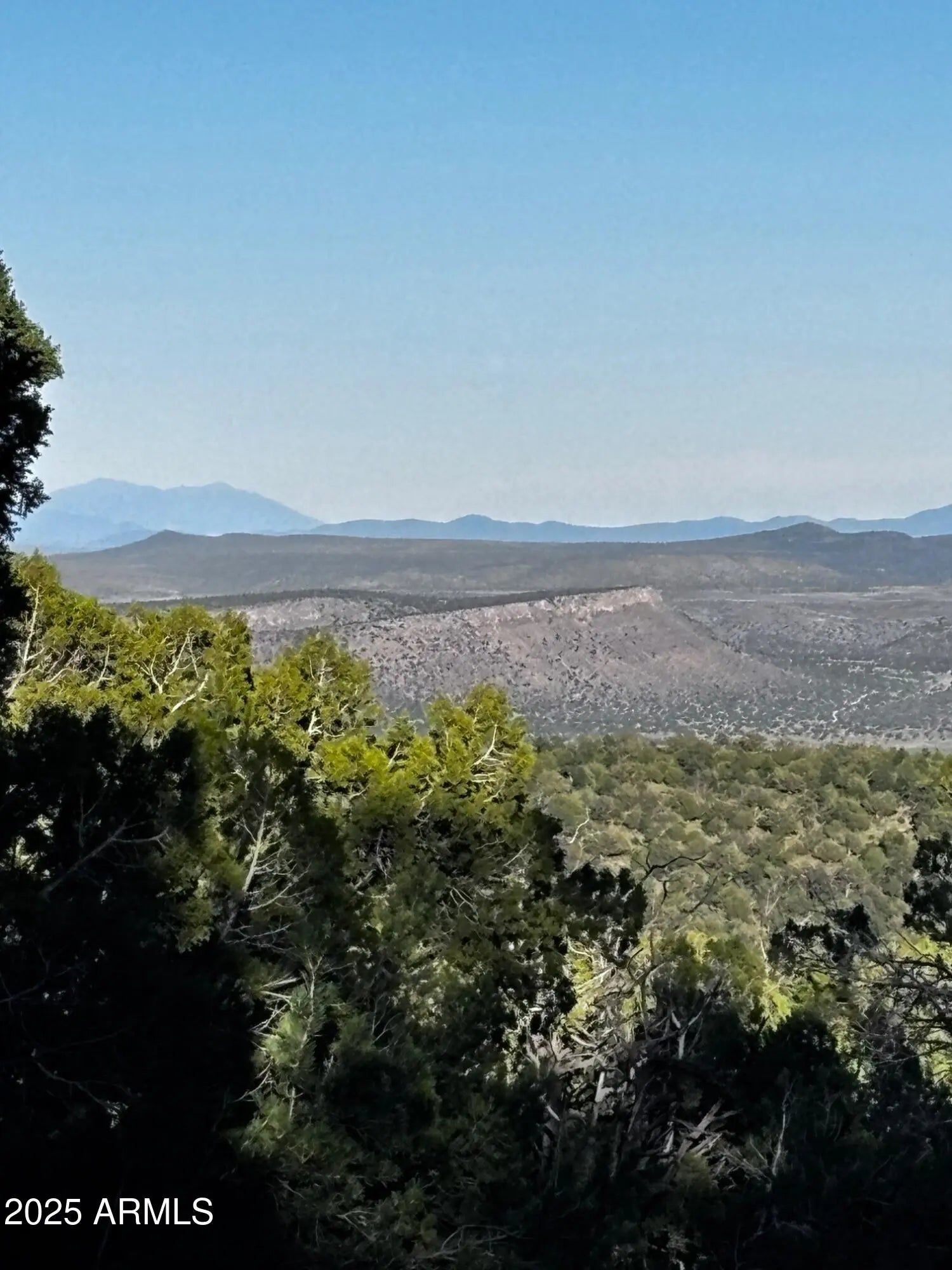 Photo of Listing #6920300