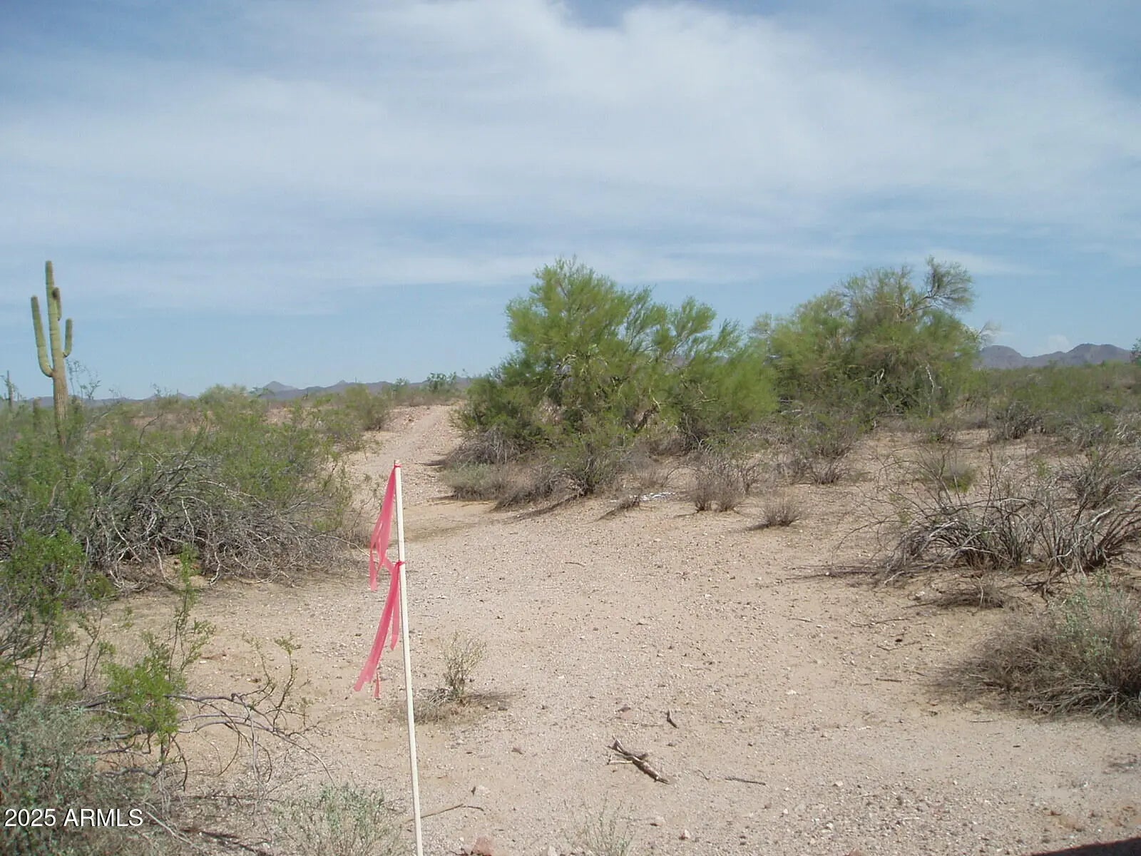 Photo of Listing #6920958