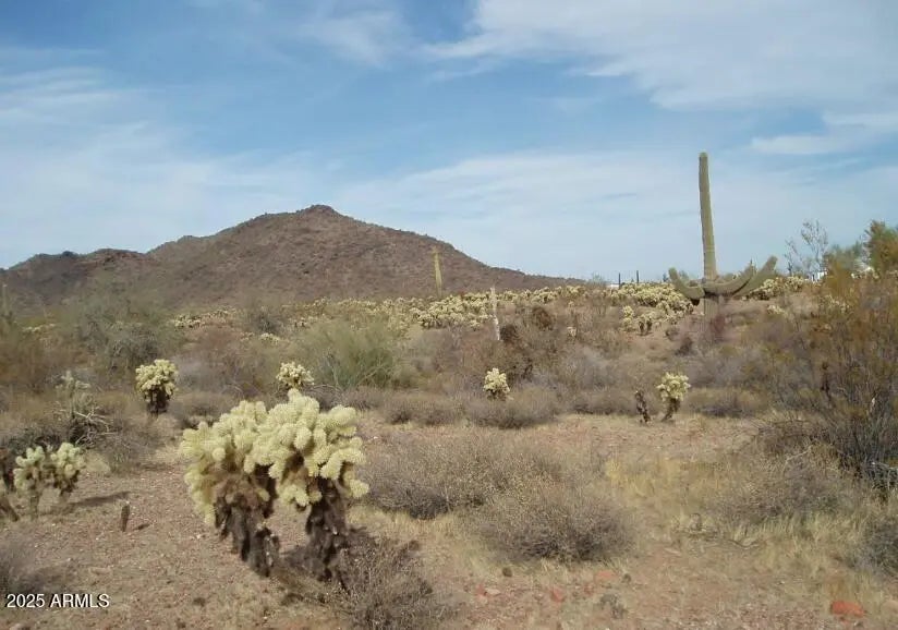 Photo of Listing #6923388