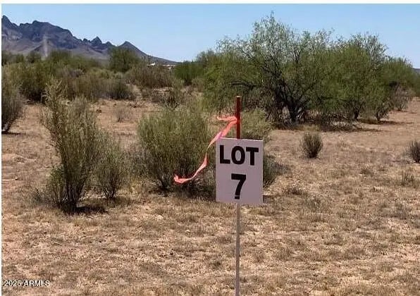 Photo of Listing #6922636