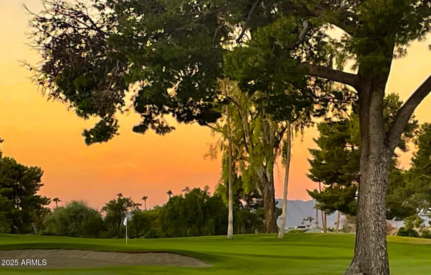 Photo of Listing #6924700