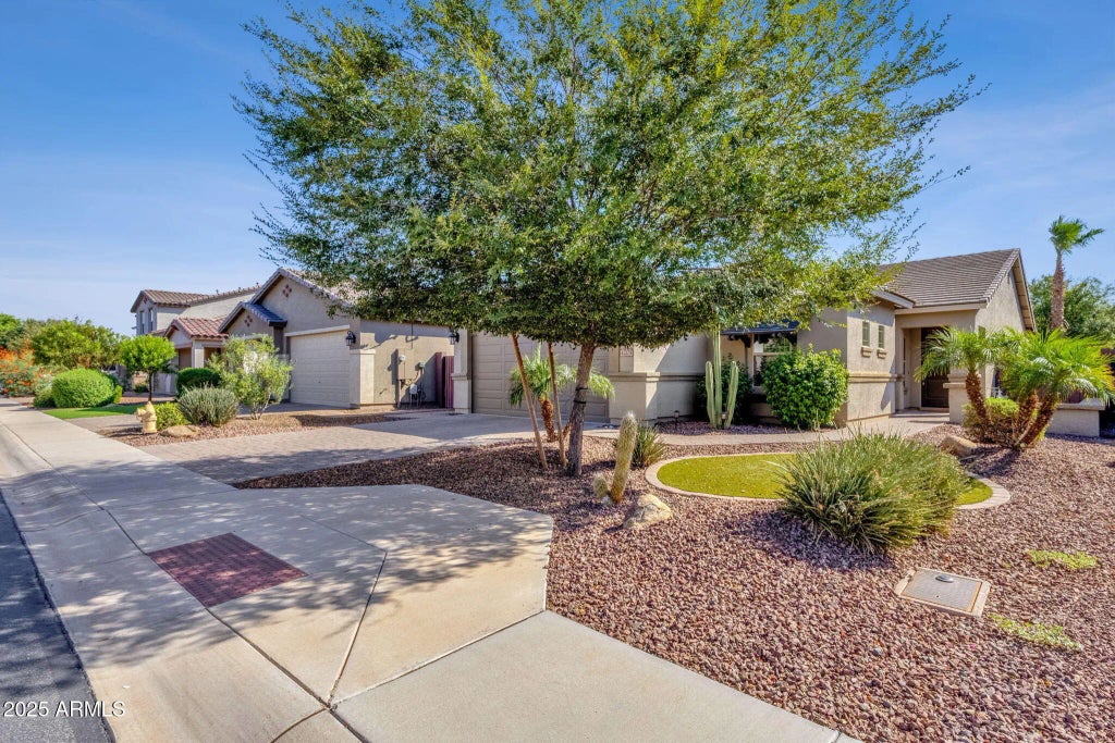 42175 N Wollemi Street, Queen Creek