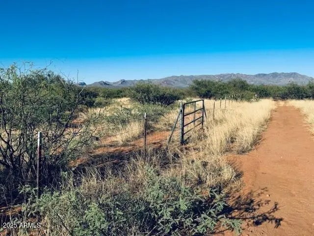 Photo of Listing #6924224