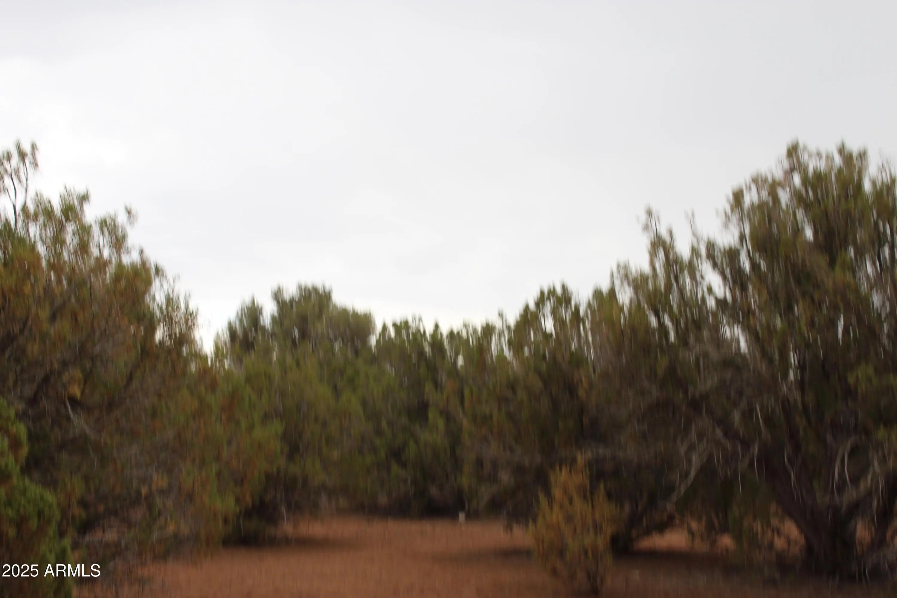 Photo of Listing #6923988