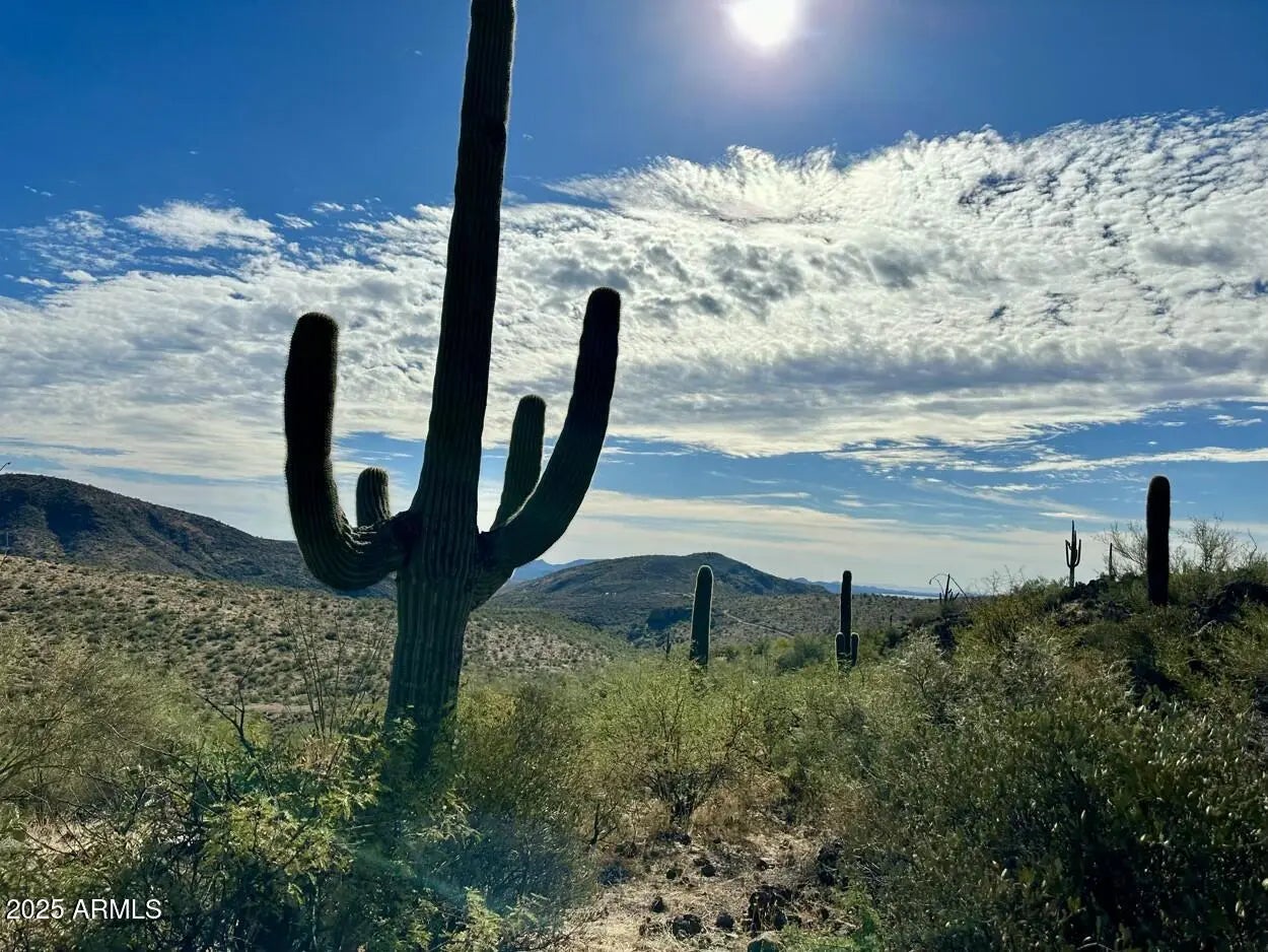 Photo of Listing #6924919