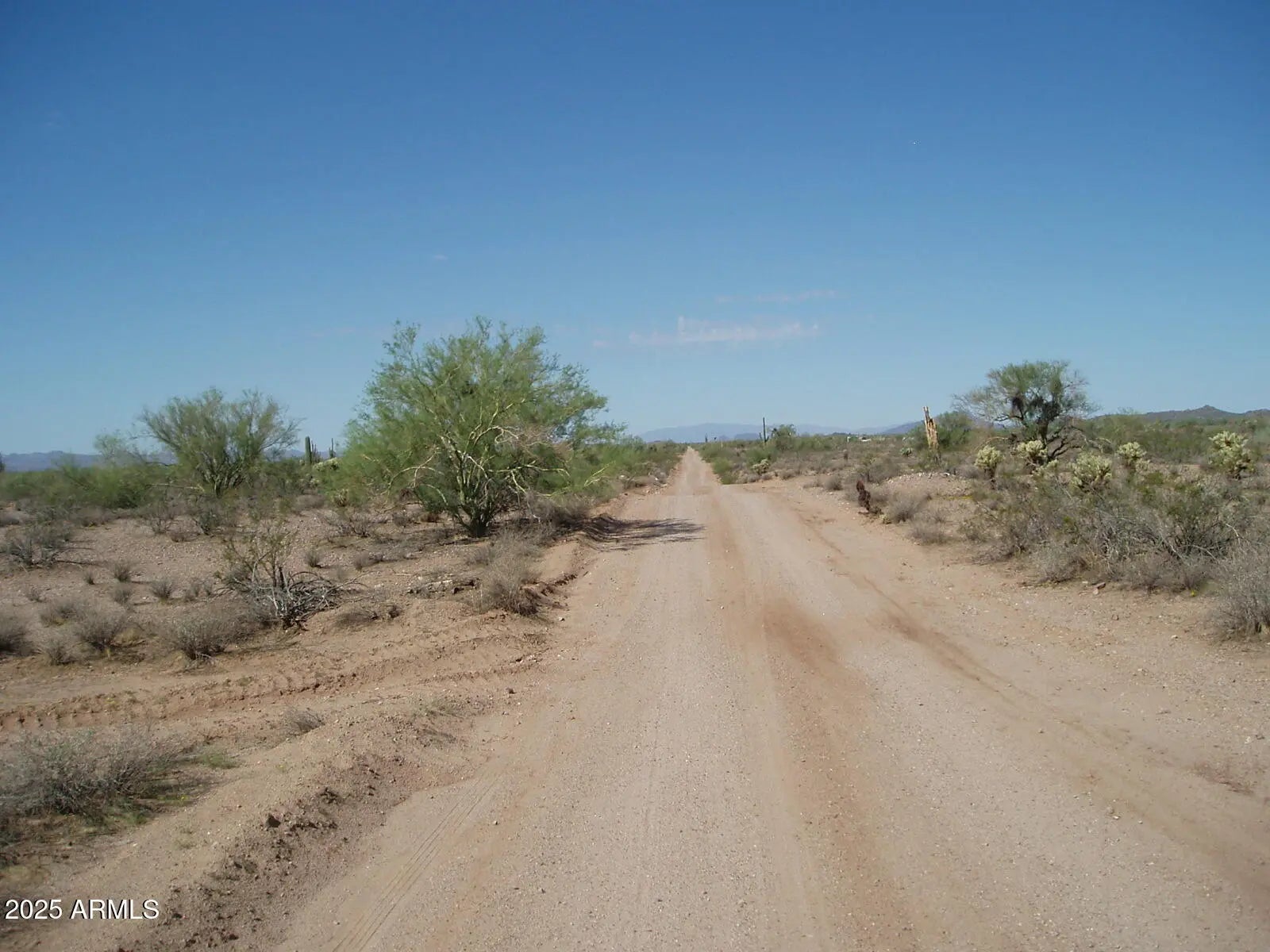 Photo of Listing #6924695