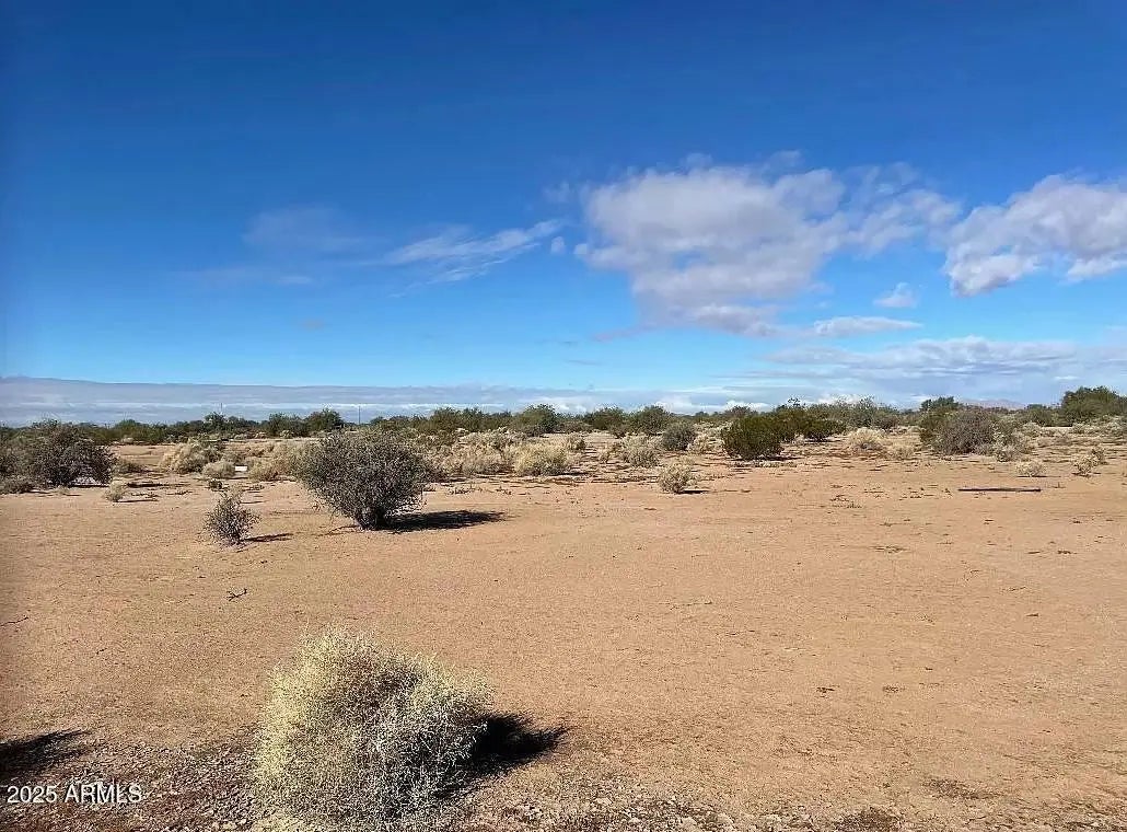 Photo of Listing #6925782