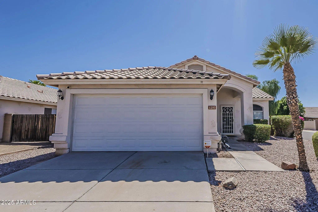 1293 W Orchid Lane, Chandler