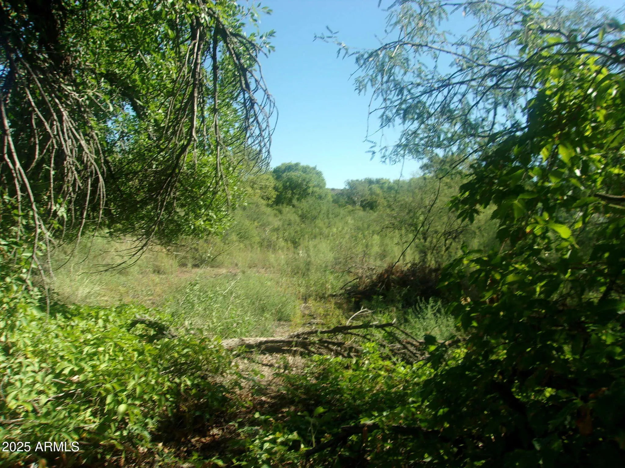 Photo of Listing #6925163