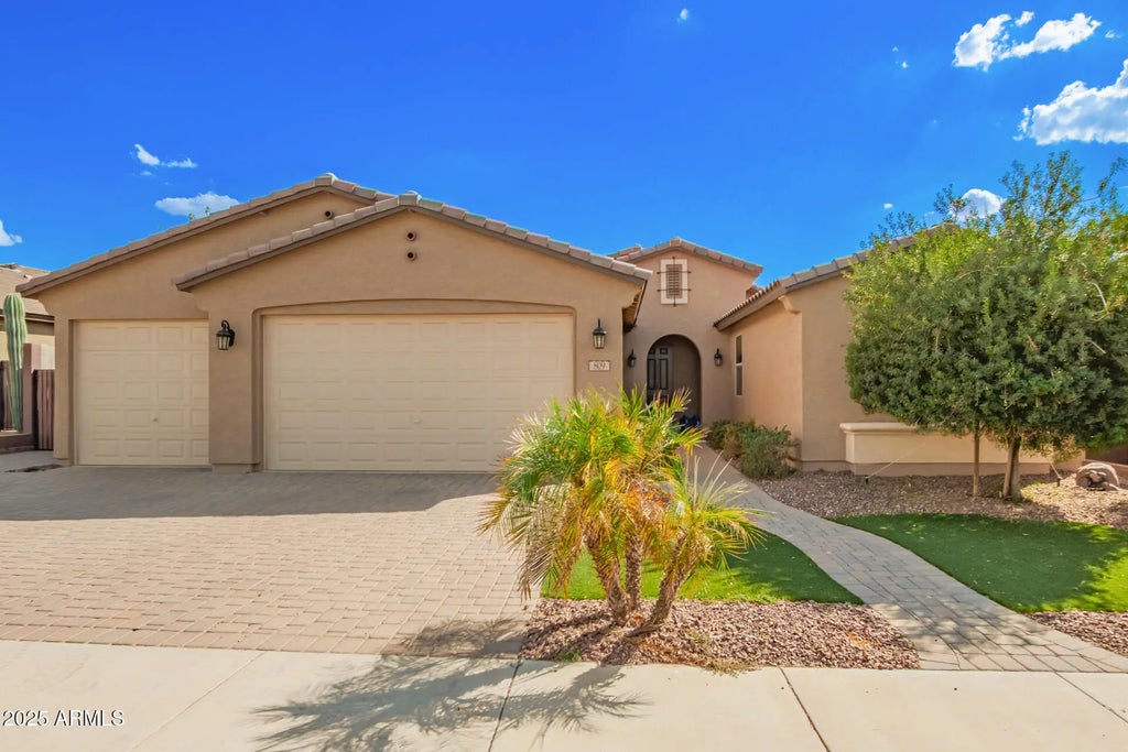 809 W Tallow Tree Avenue, San Tan Valley