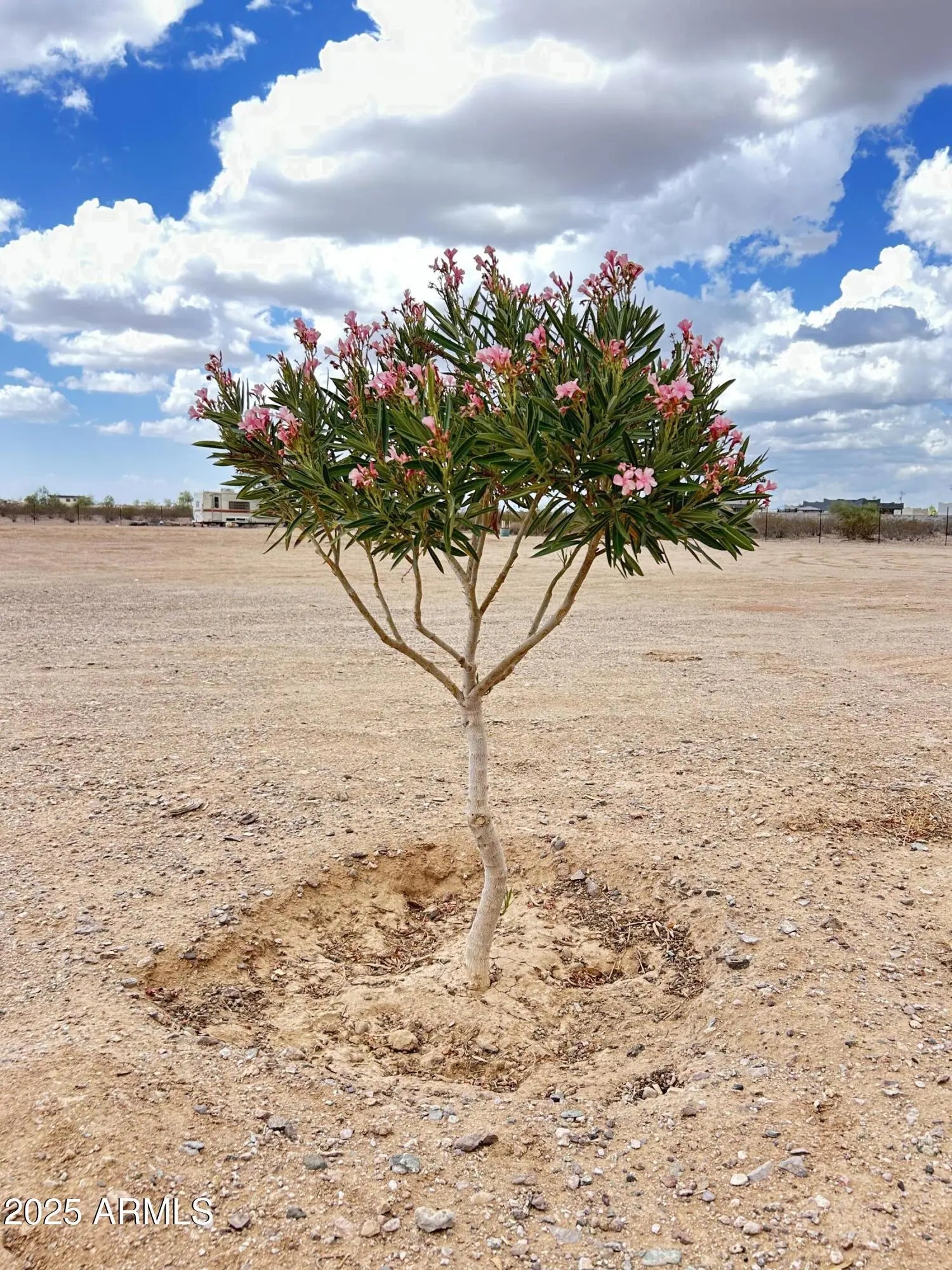 Photo of Listing #6925631