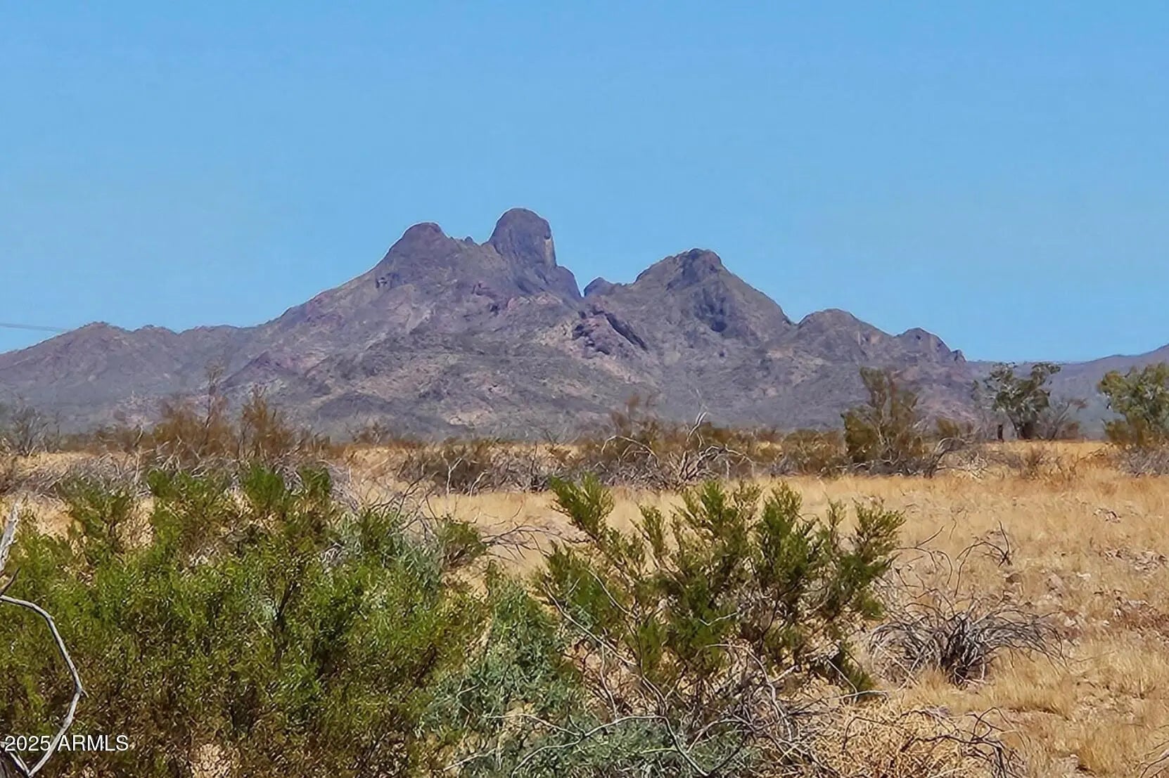 Photo of Listing #6929866