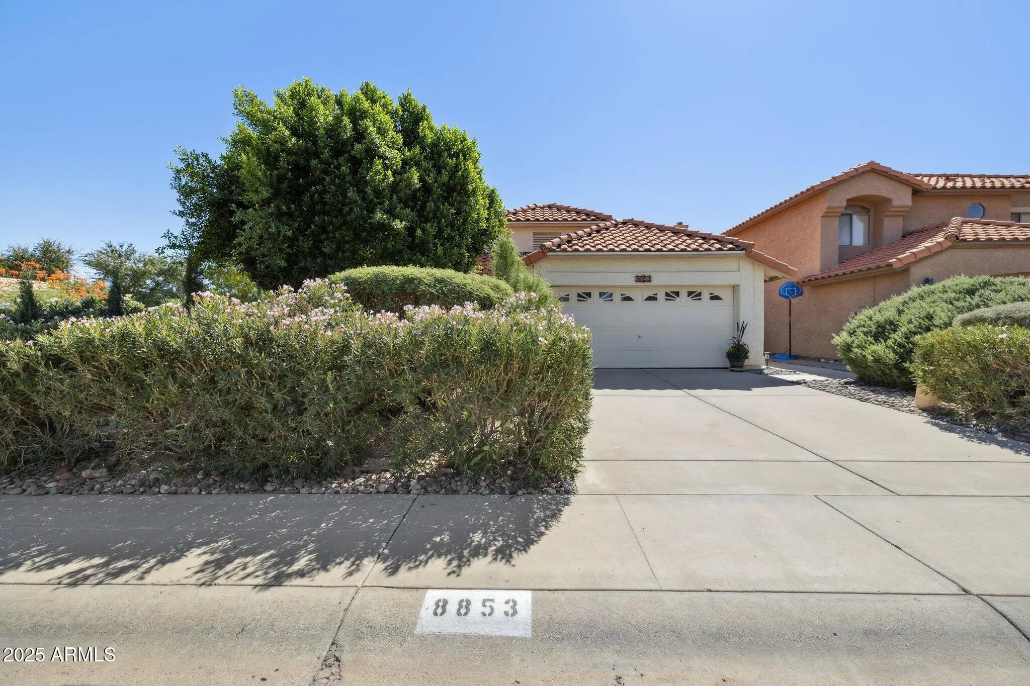 Photo of Listing #6926262